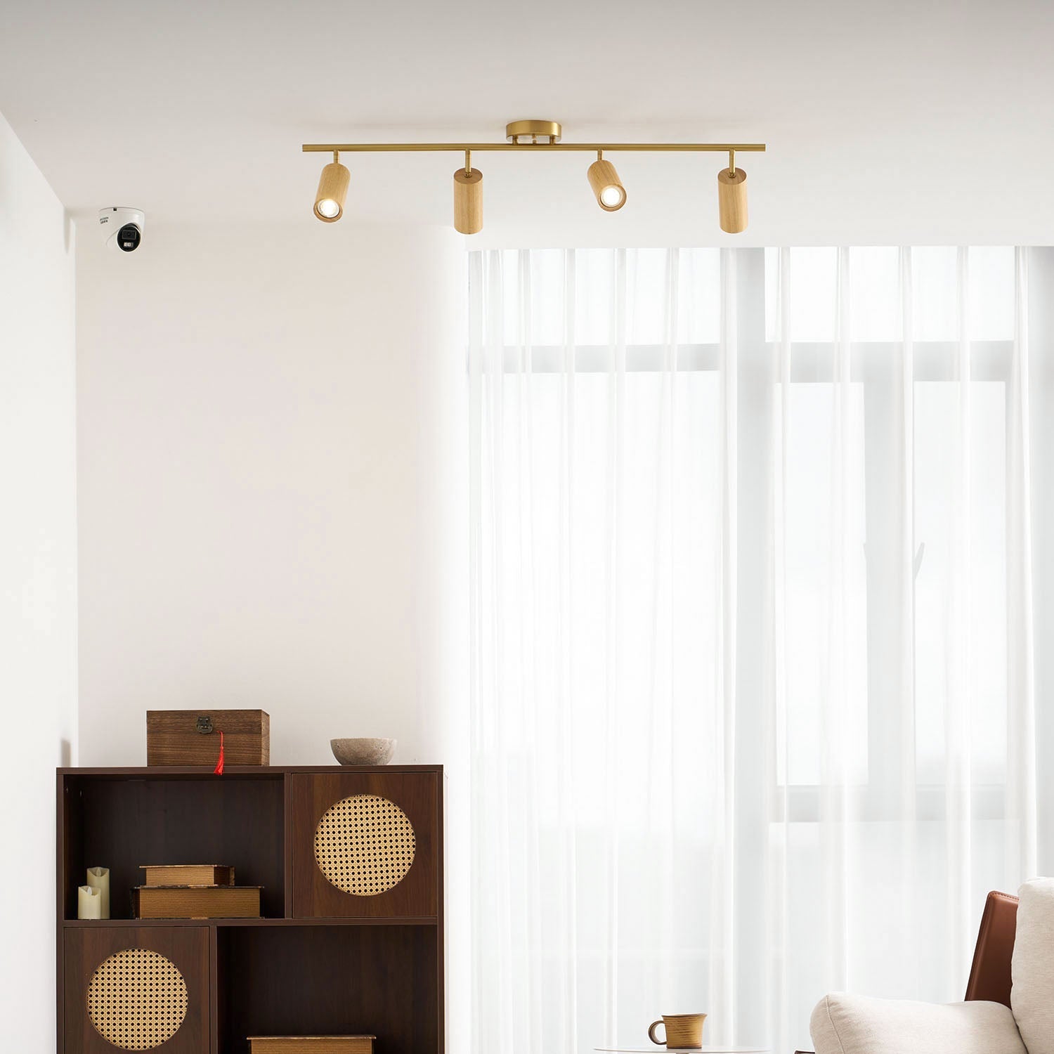 Romezan Ceiling Light