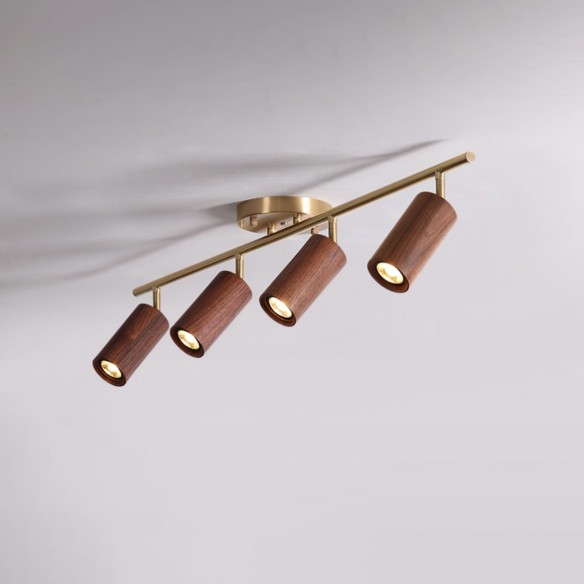 Romezan Ceiling Light