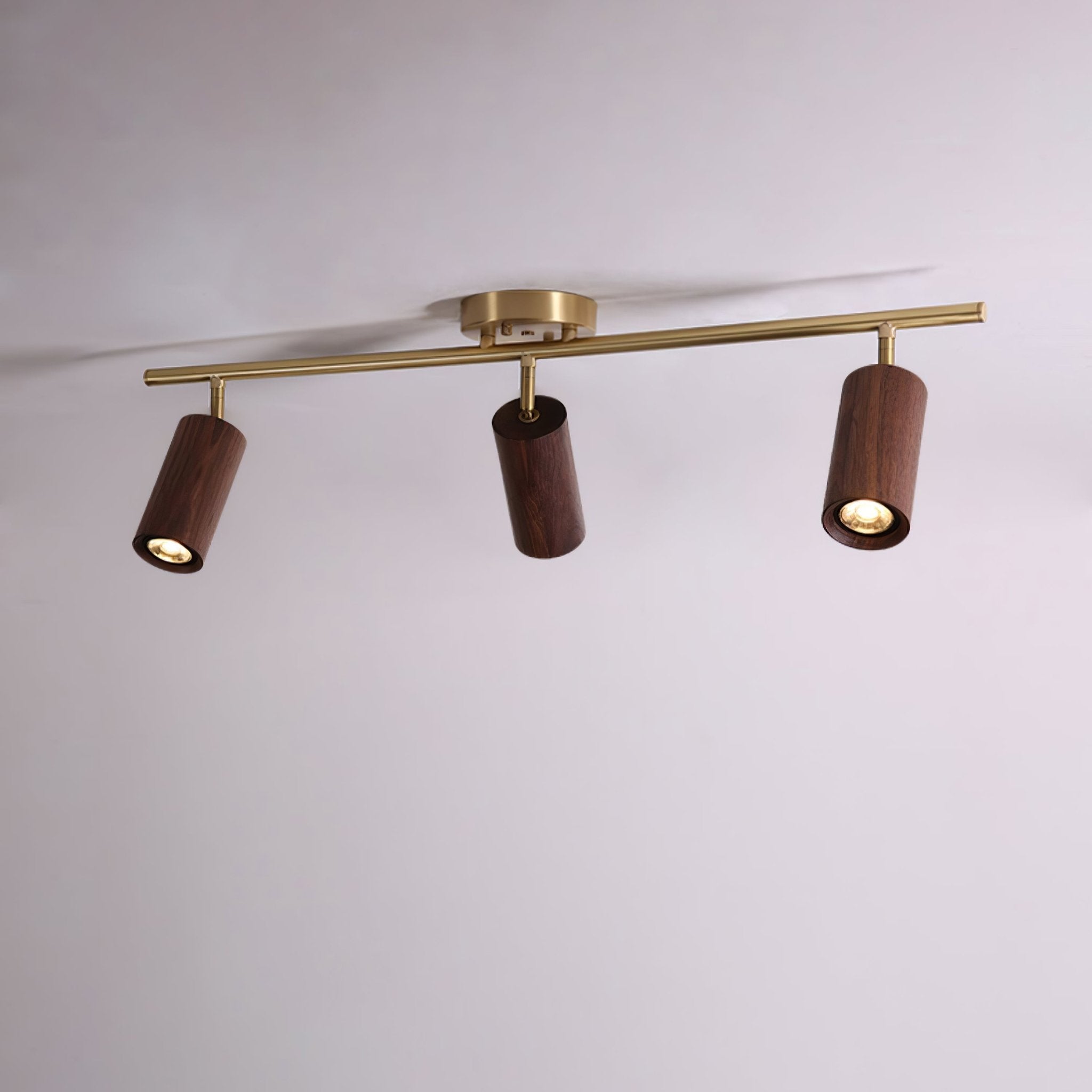Romezan Ceiling Light