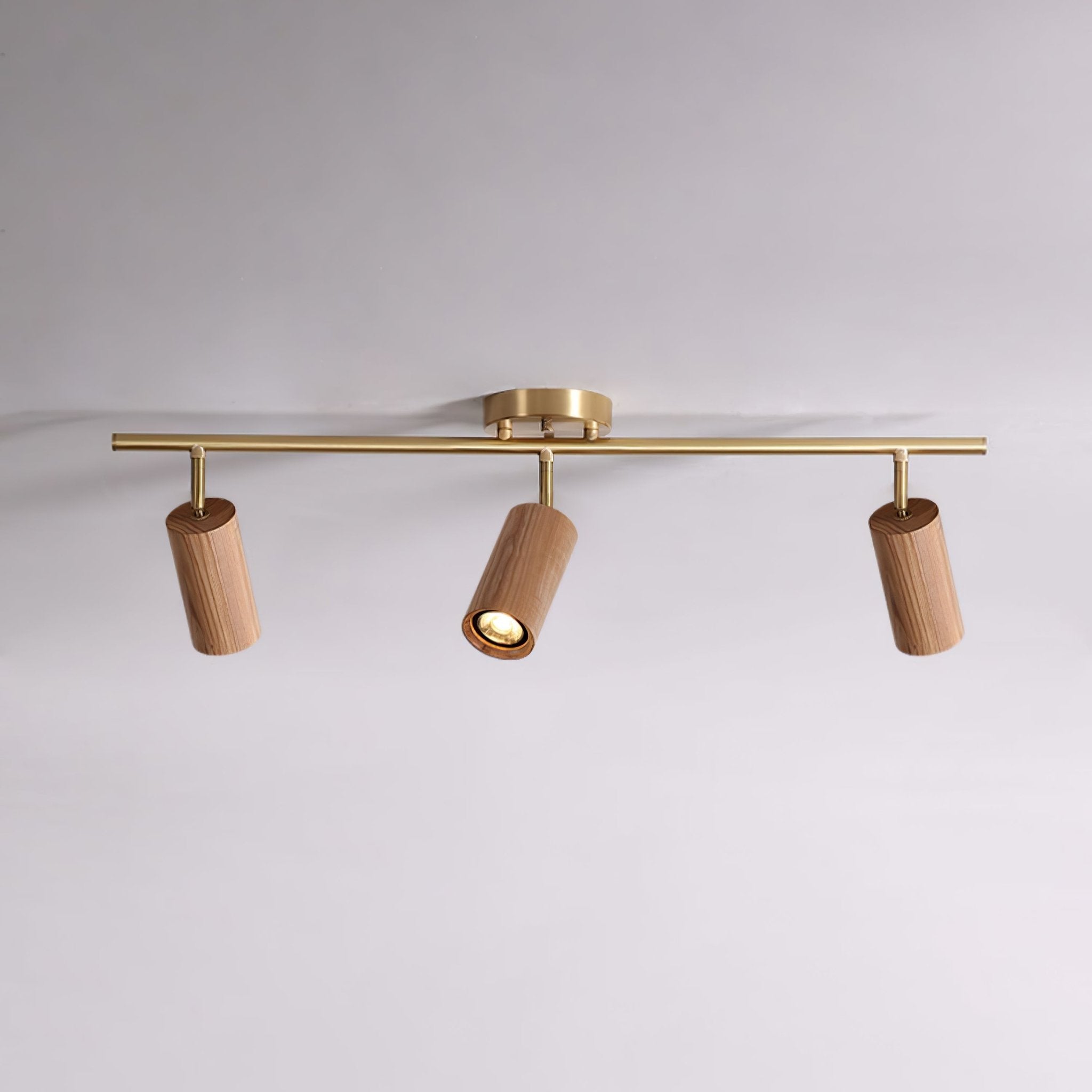 Romezan Ceiling Light