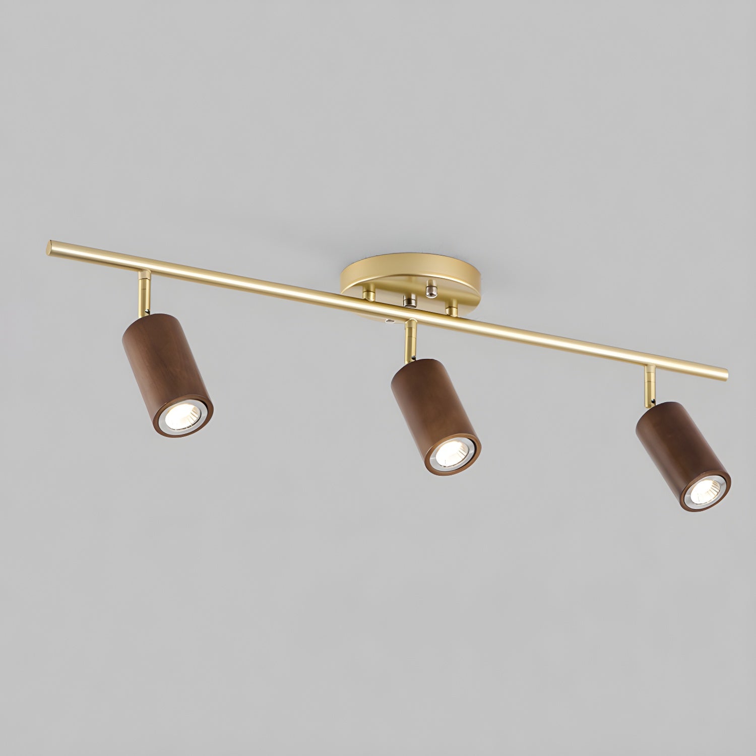 Romezan Ceiling Light