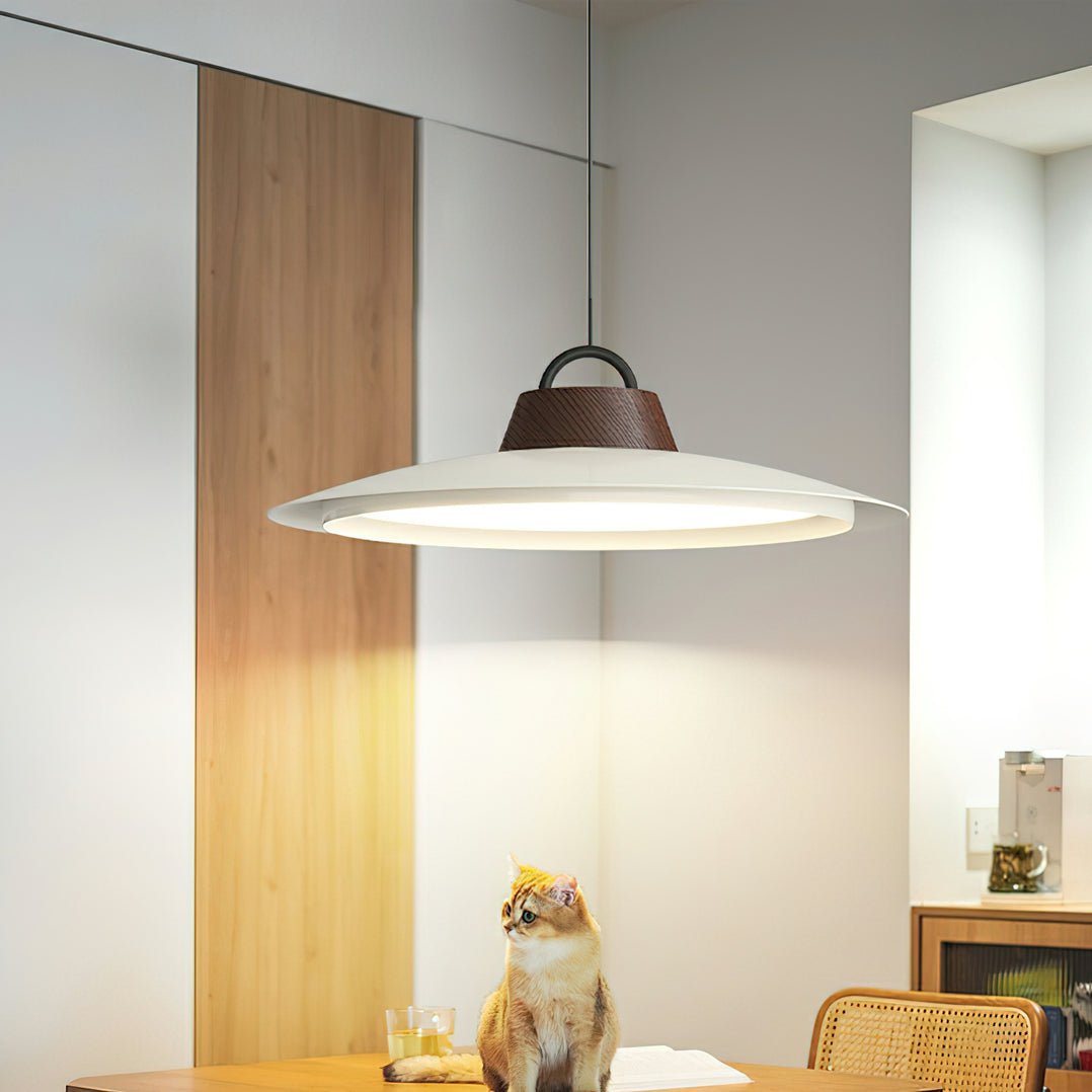 Ruilifo Pendant Light