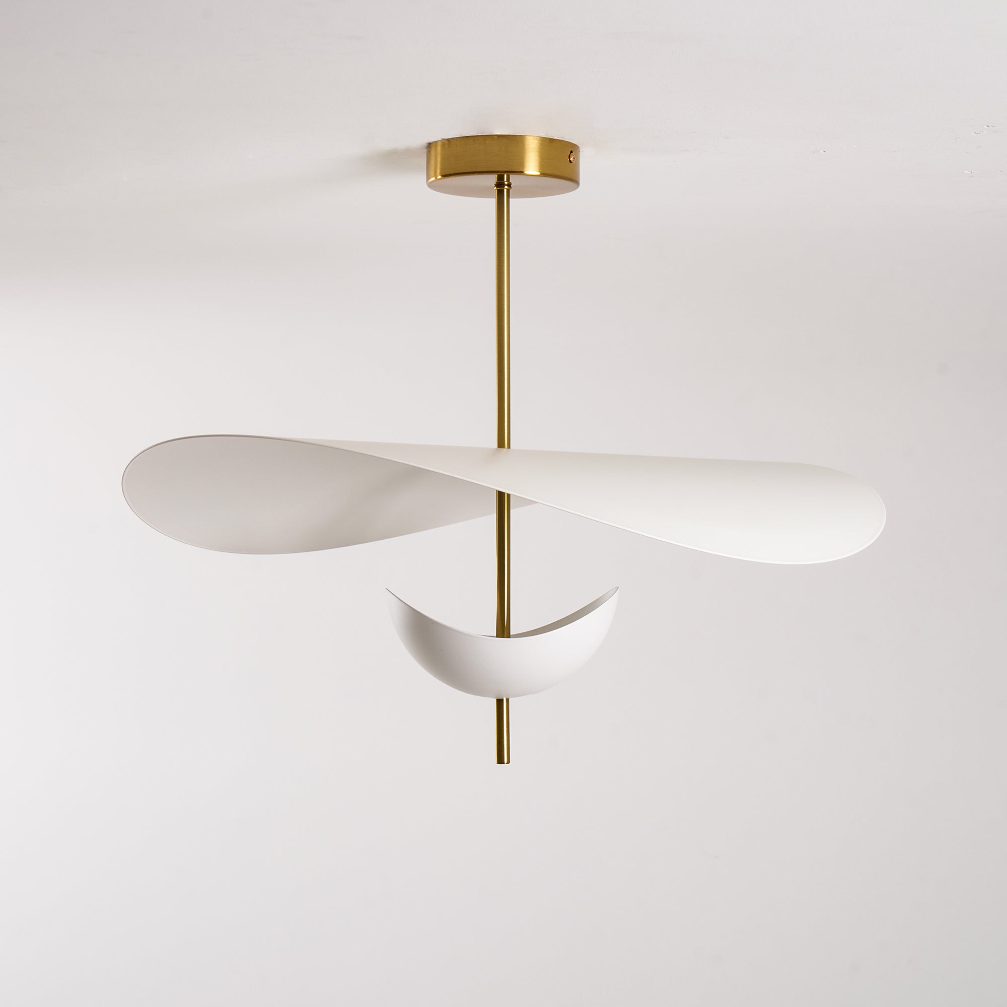 Loxey Sculptural Pendant Light