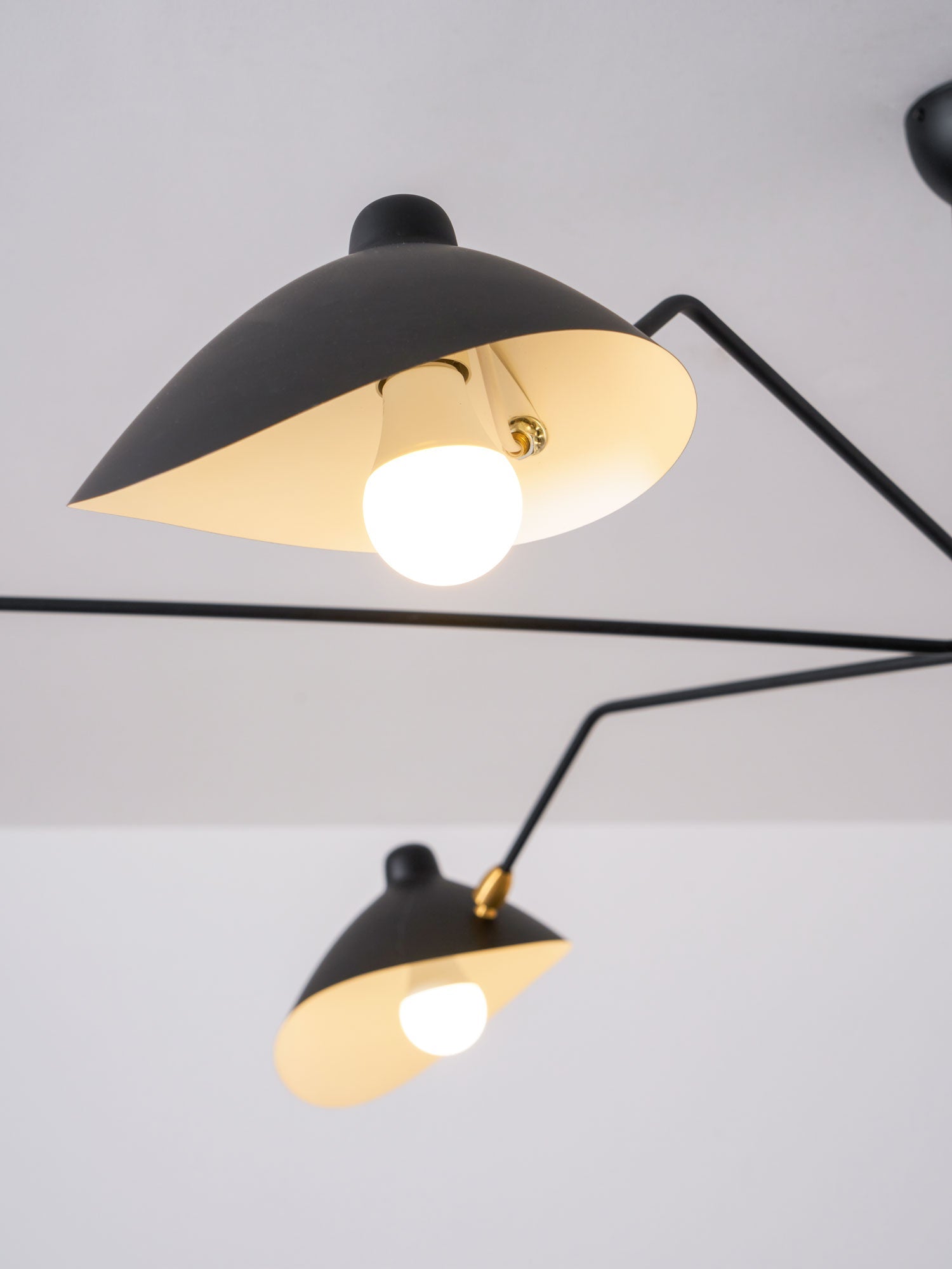 Perralay Spider Ceiling Light