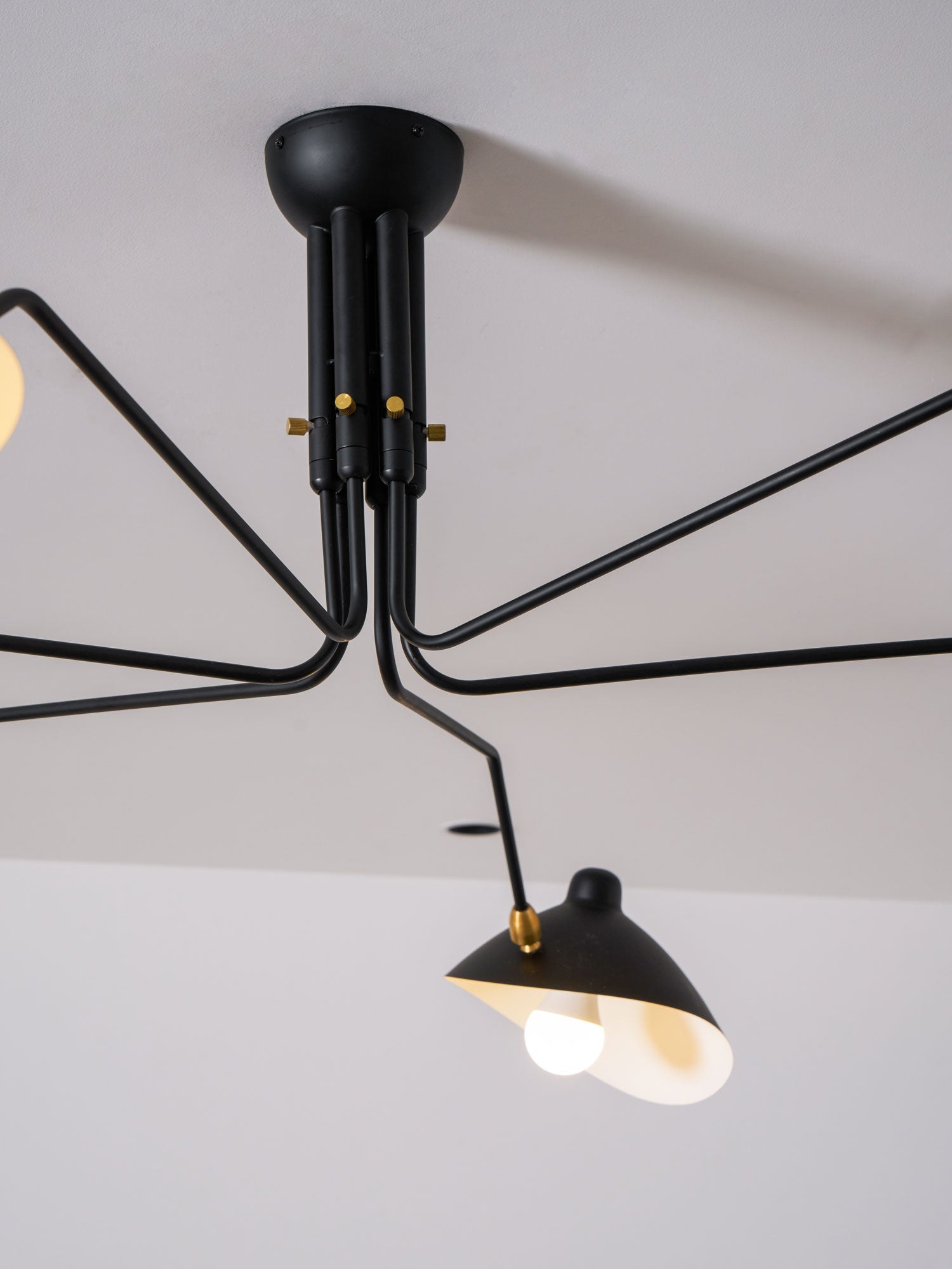 Perralay Spider Ceiling Light