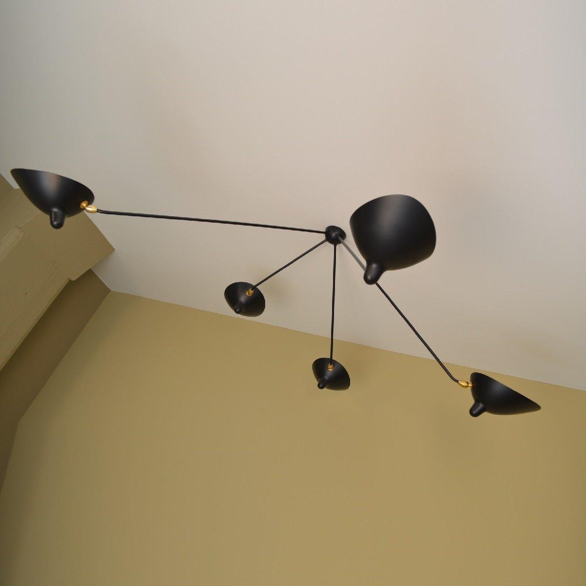 Sergun Ceiling Light