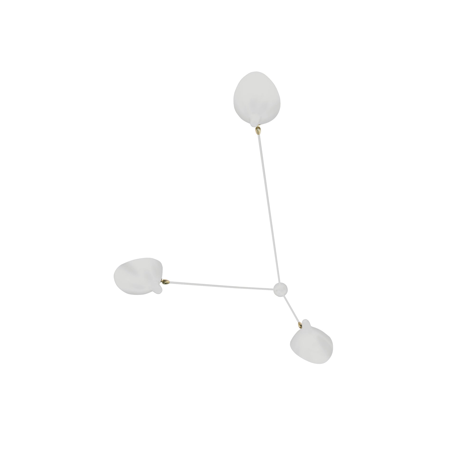 Sergun Ceiling Light