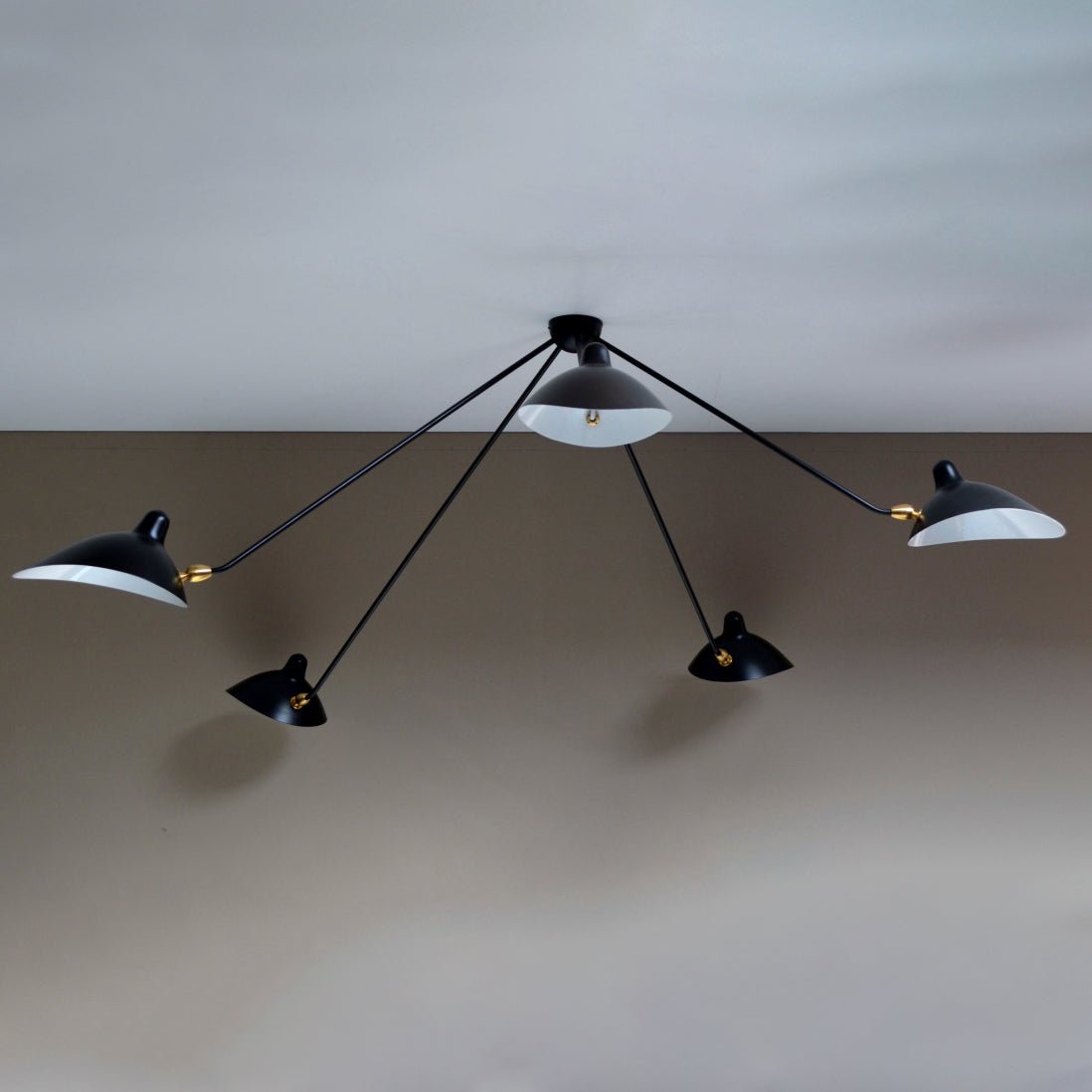Sergun Ceiling Light