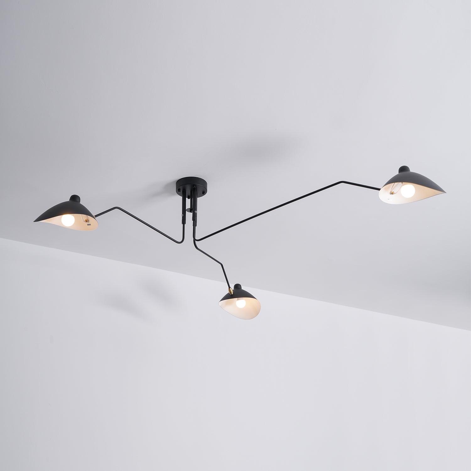 Meylizzo Ceiling Light