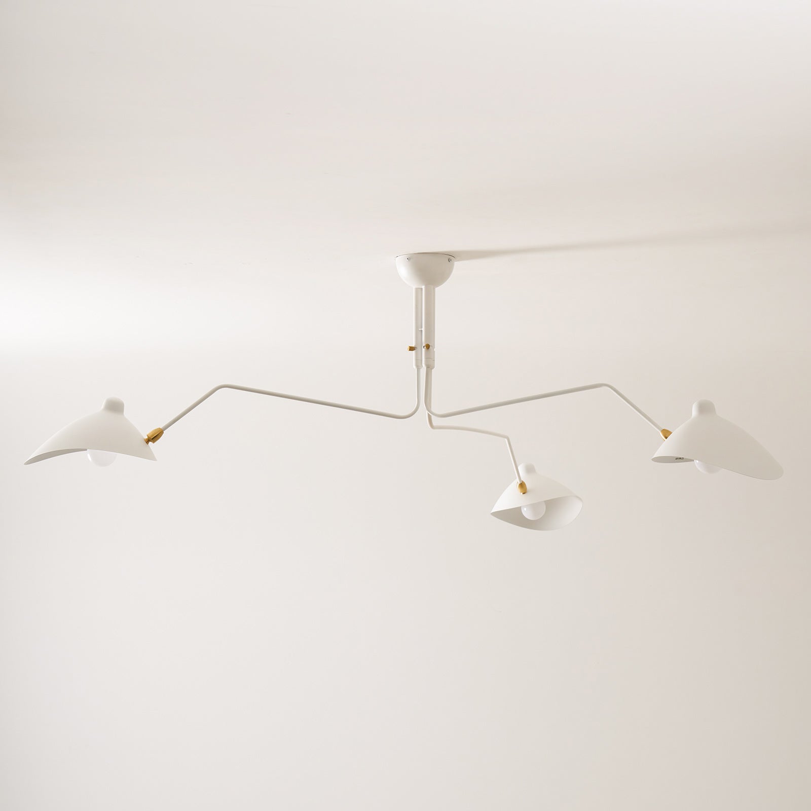 Perralay Spider Ceiling Light