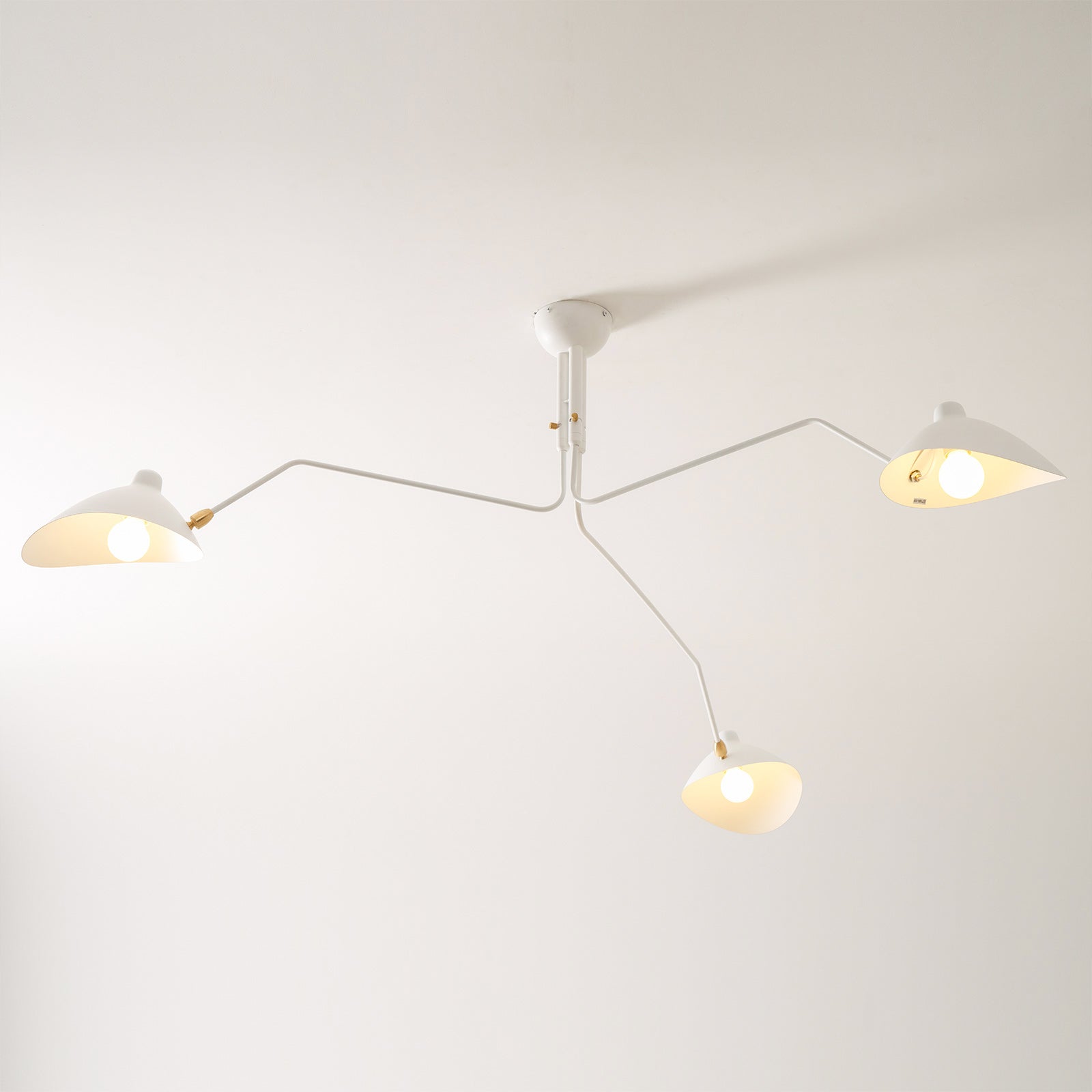 Perralay Spider Ceiling Light