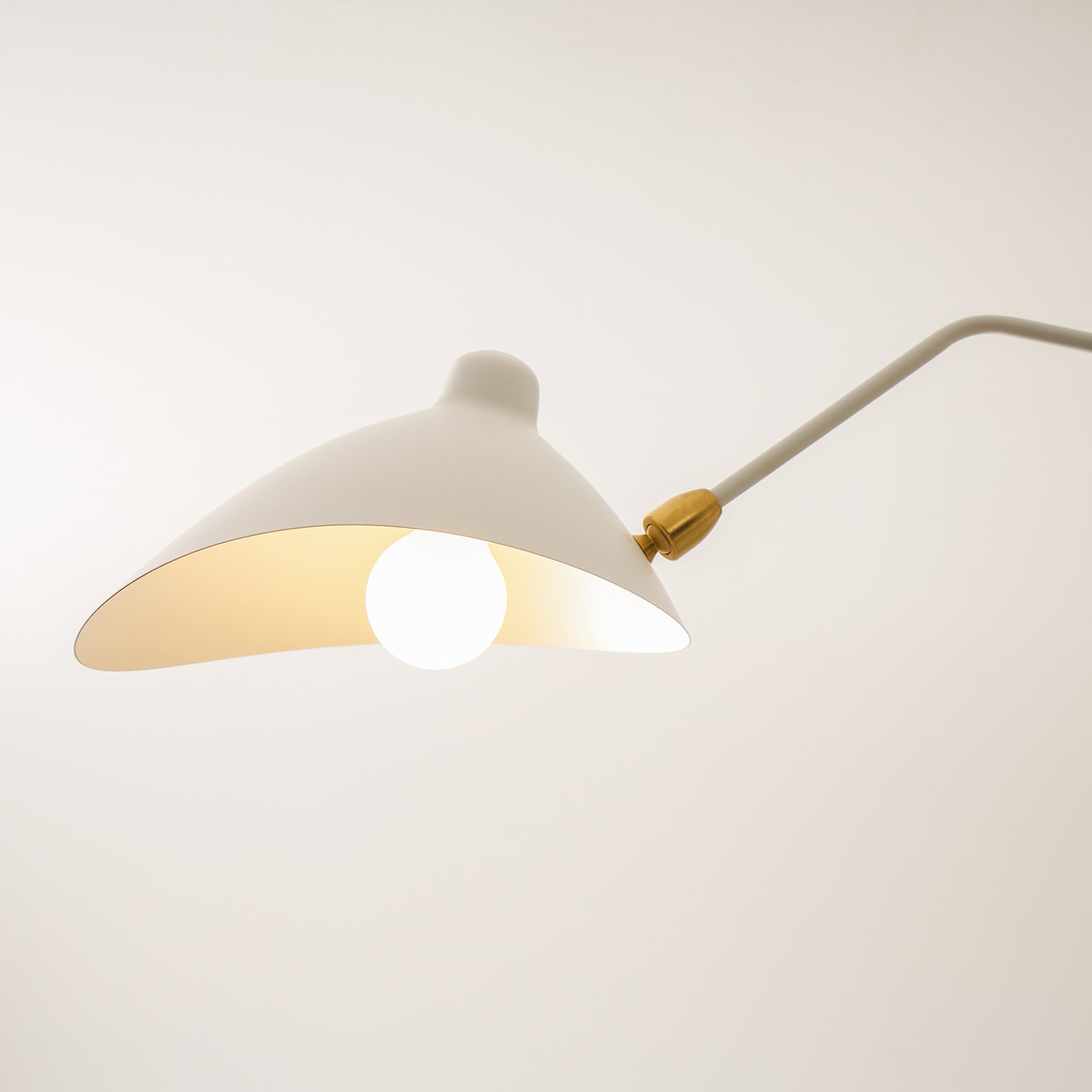 Perralay Spider Ceiling Light