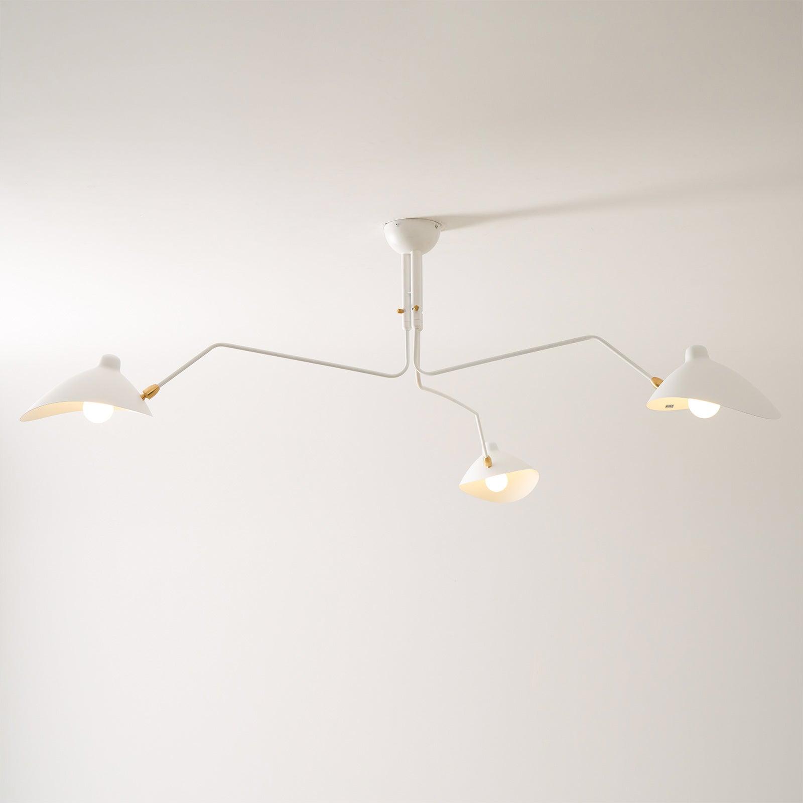Perralay Spider Ceiling Light
