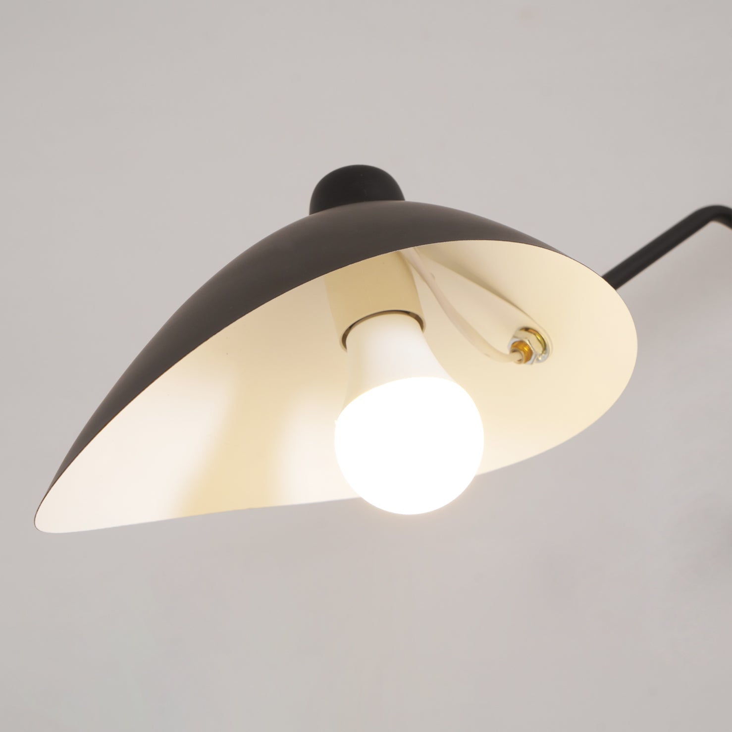 Perralay Spider Ceiling Light