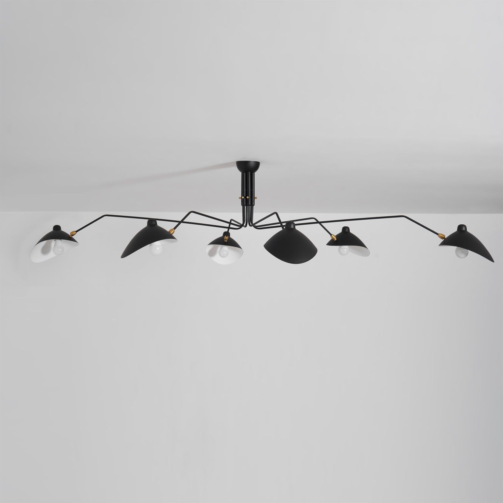 Perralay Spider Ceiling Light