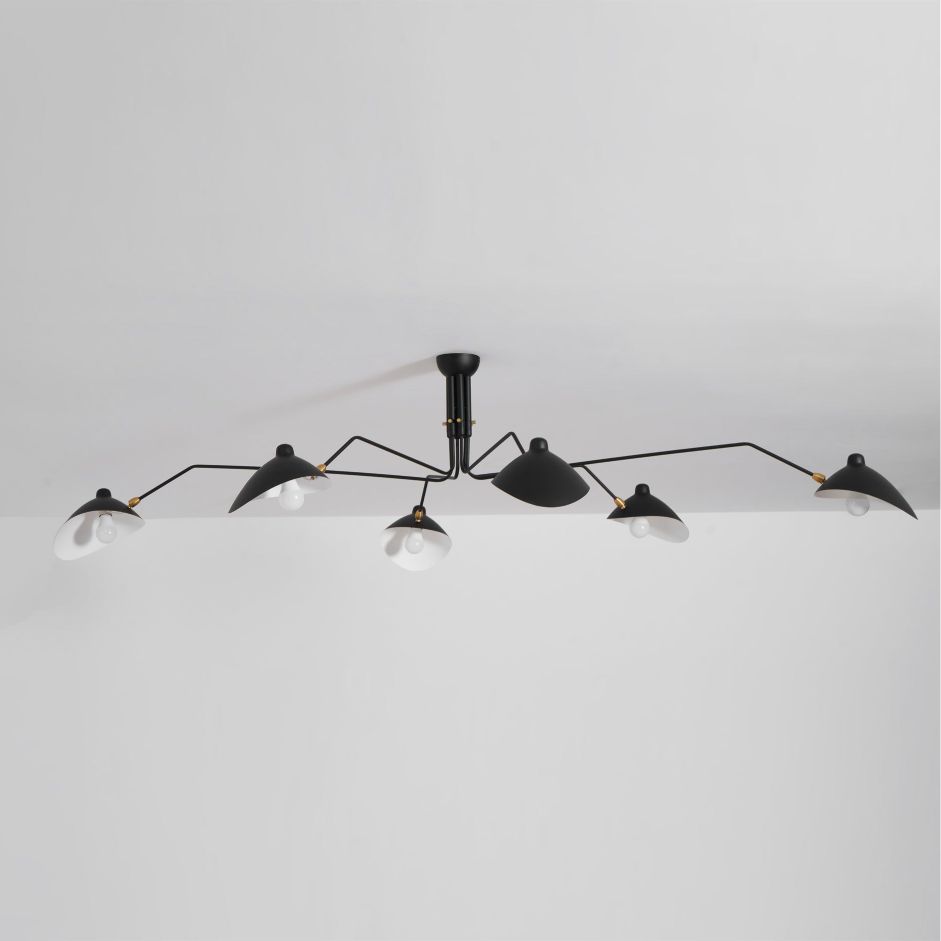 Perralay Spider Ceiling Light