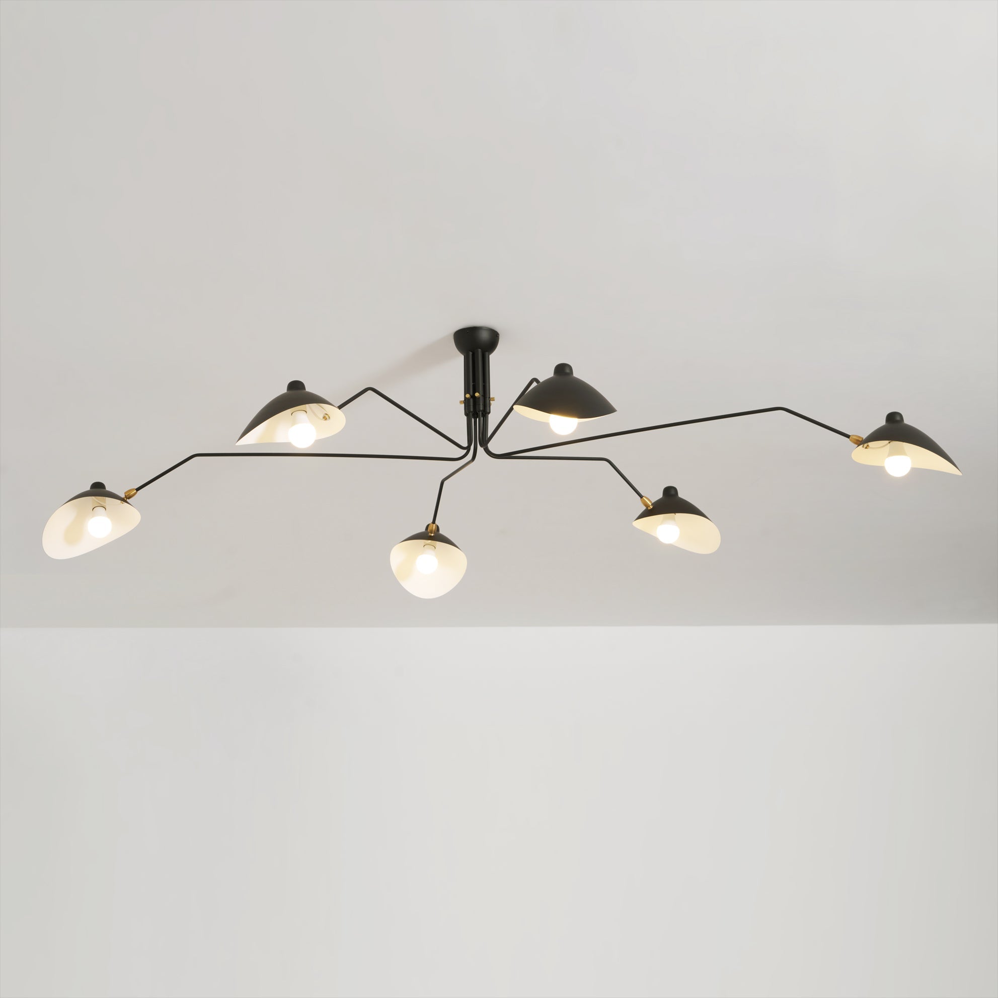 Perralay Spider Ceiling Light