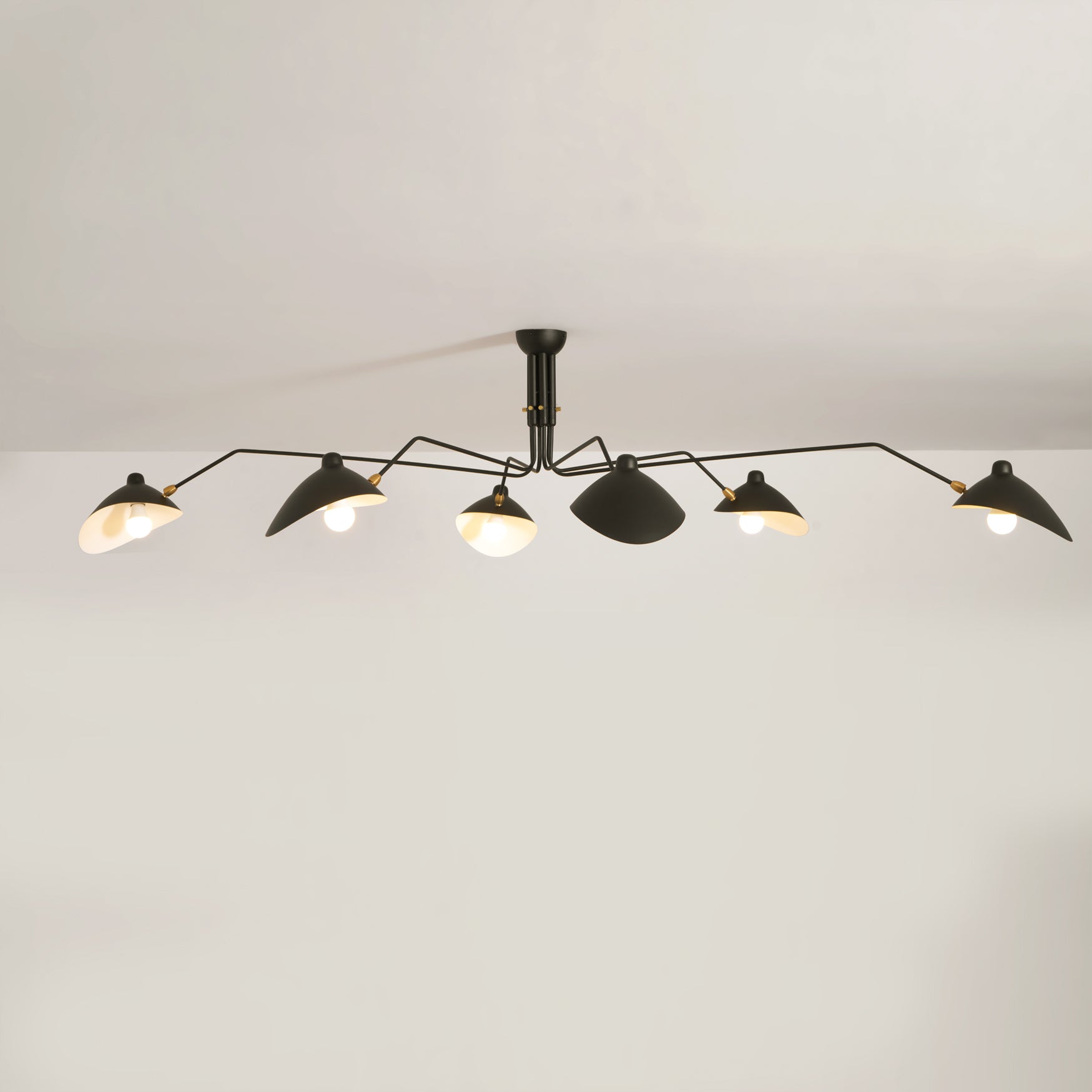 Perralay Spider Ceiling Light
