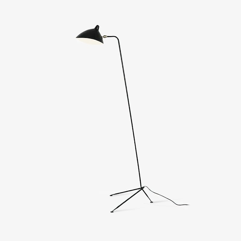 Molizon Floor Lamp