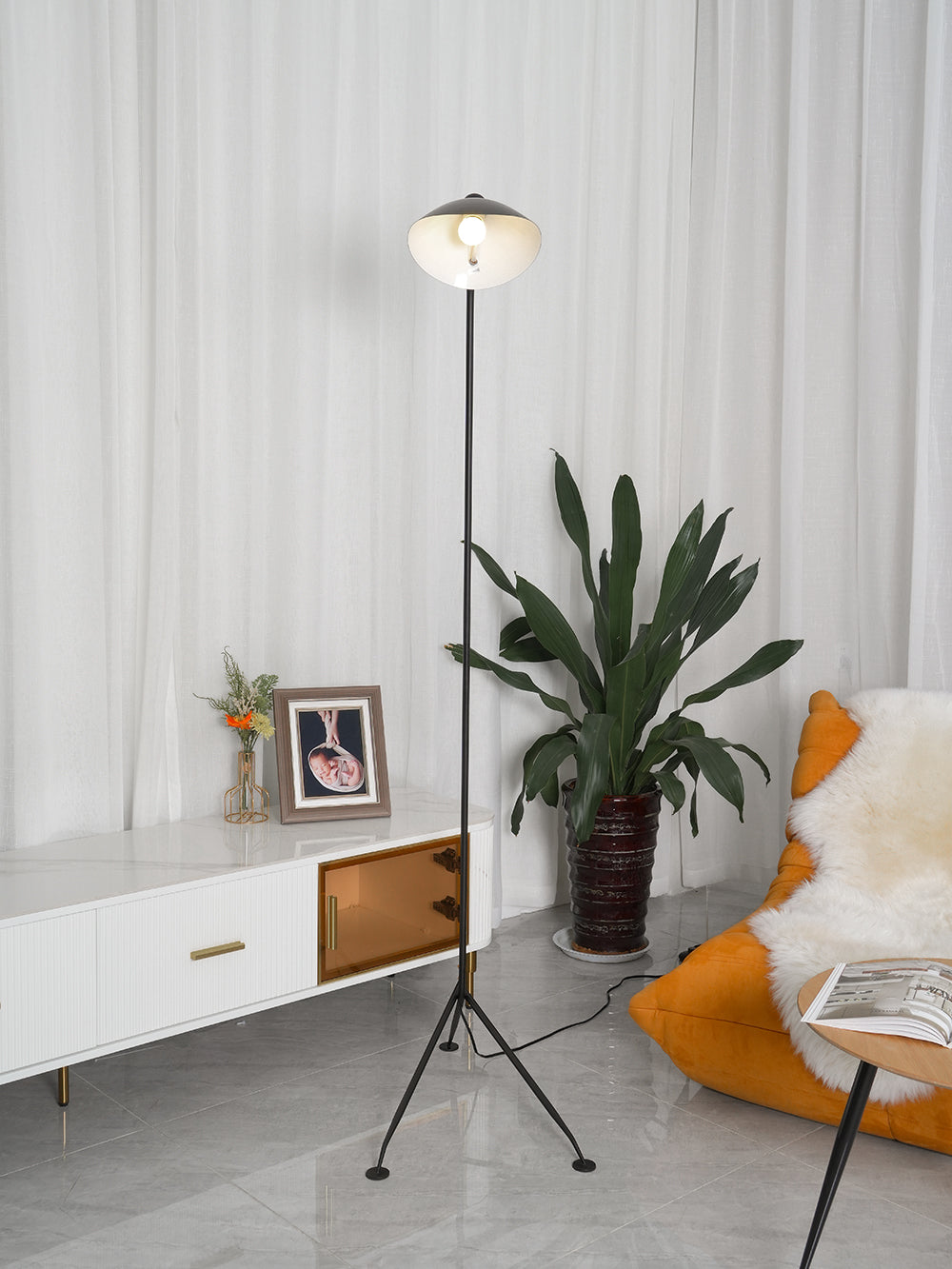 Quinlio Floor Lamp
