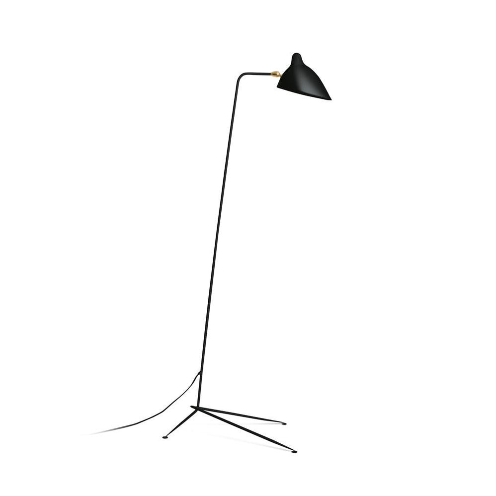 Molizon Floor Lamp