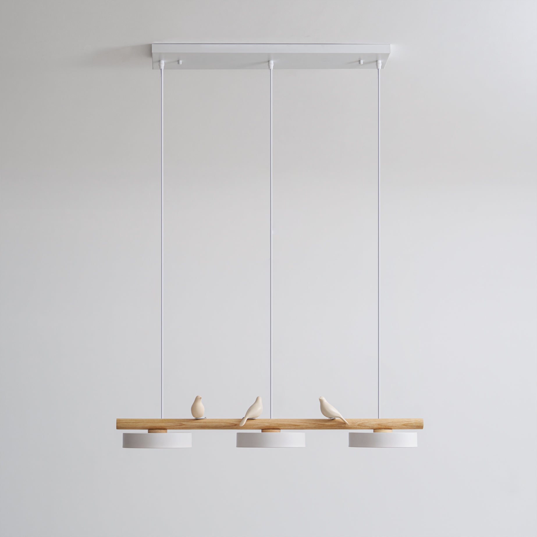 Ivyer Bird Pendant Light