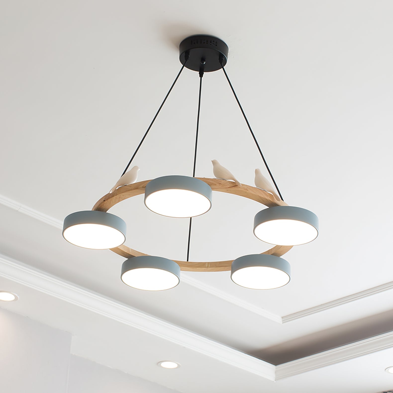 Paxar Round Pendant Light