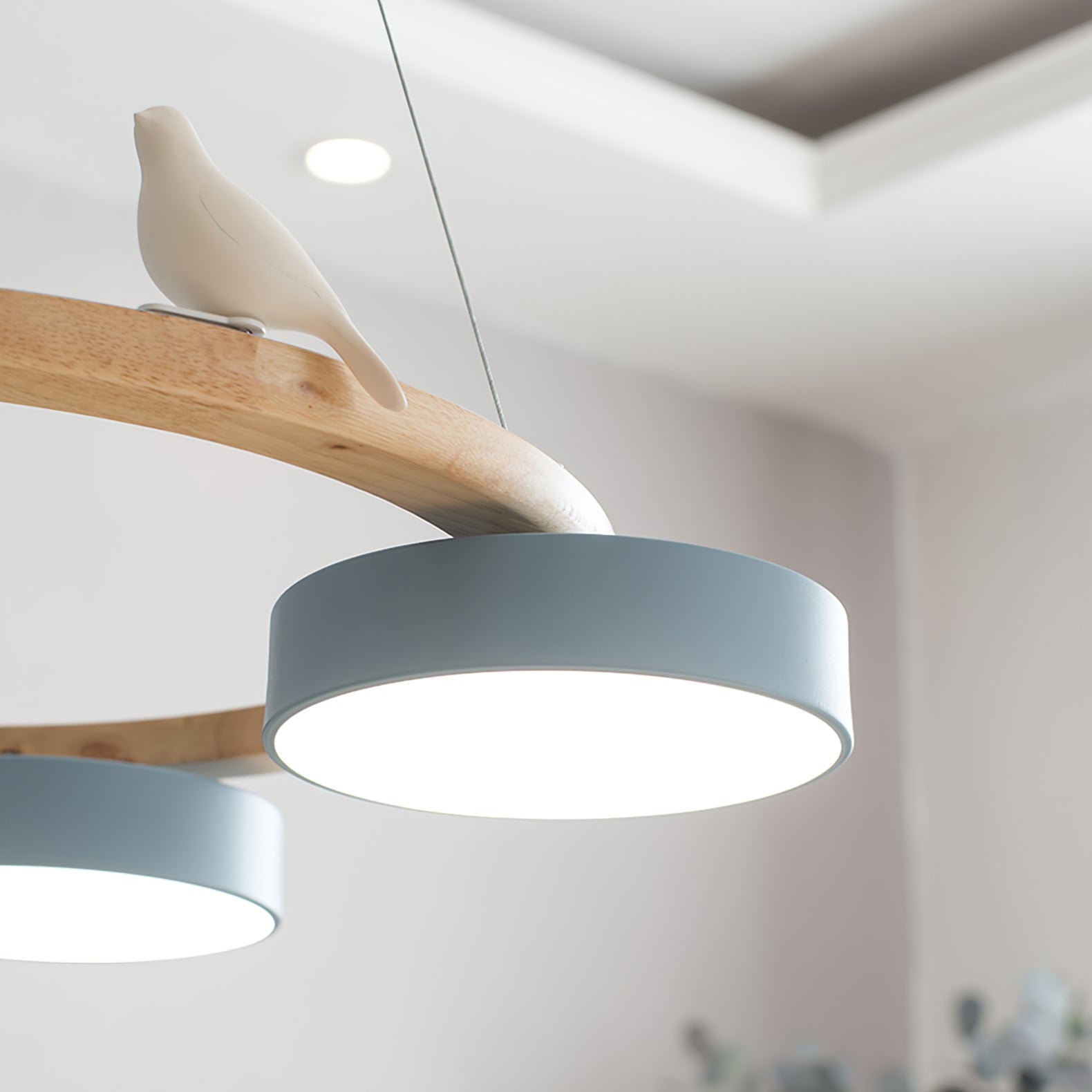 Paxar Round Pendant Light