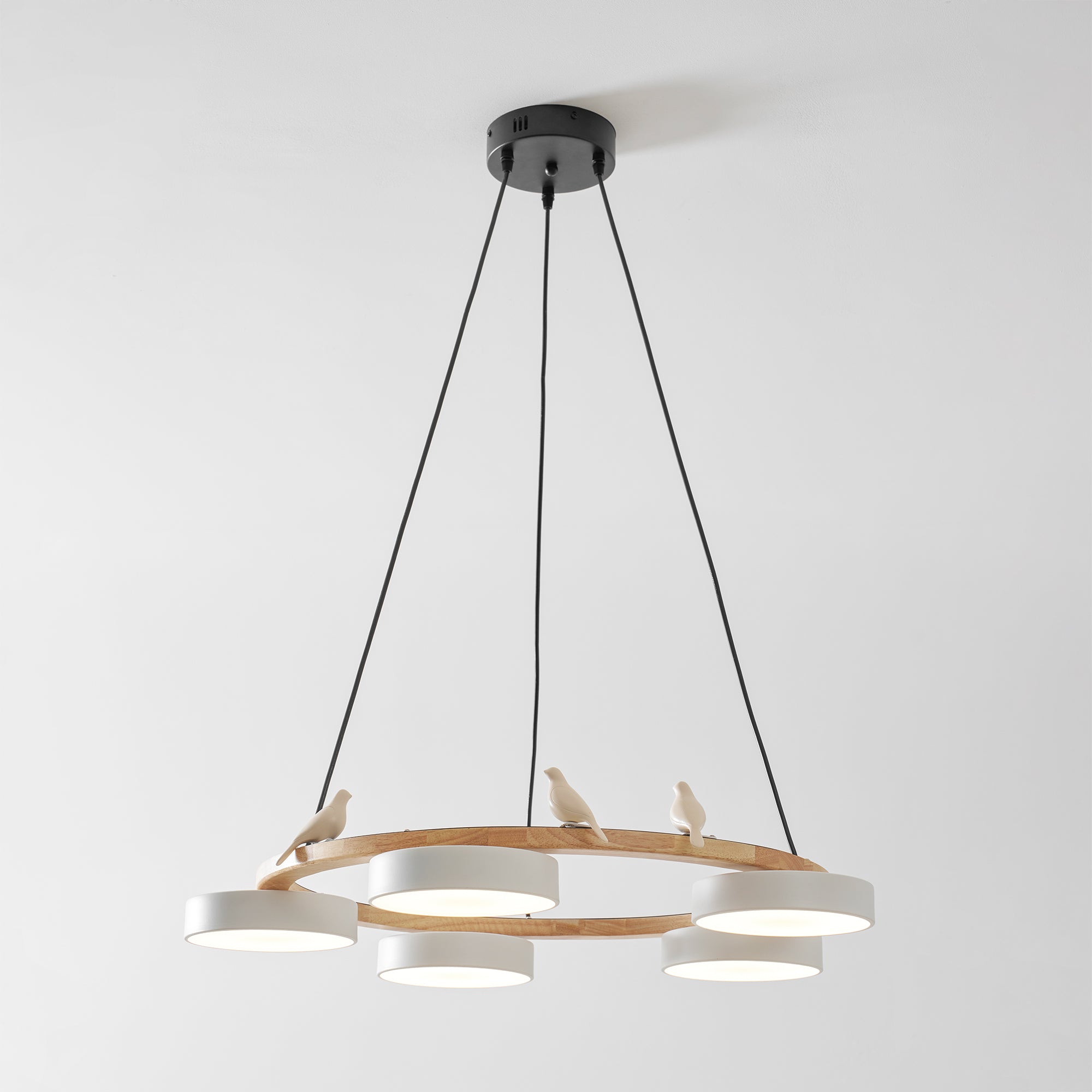 Paxar Round Pendant Light