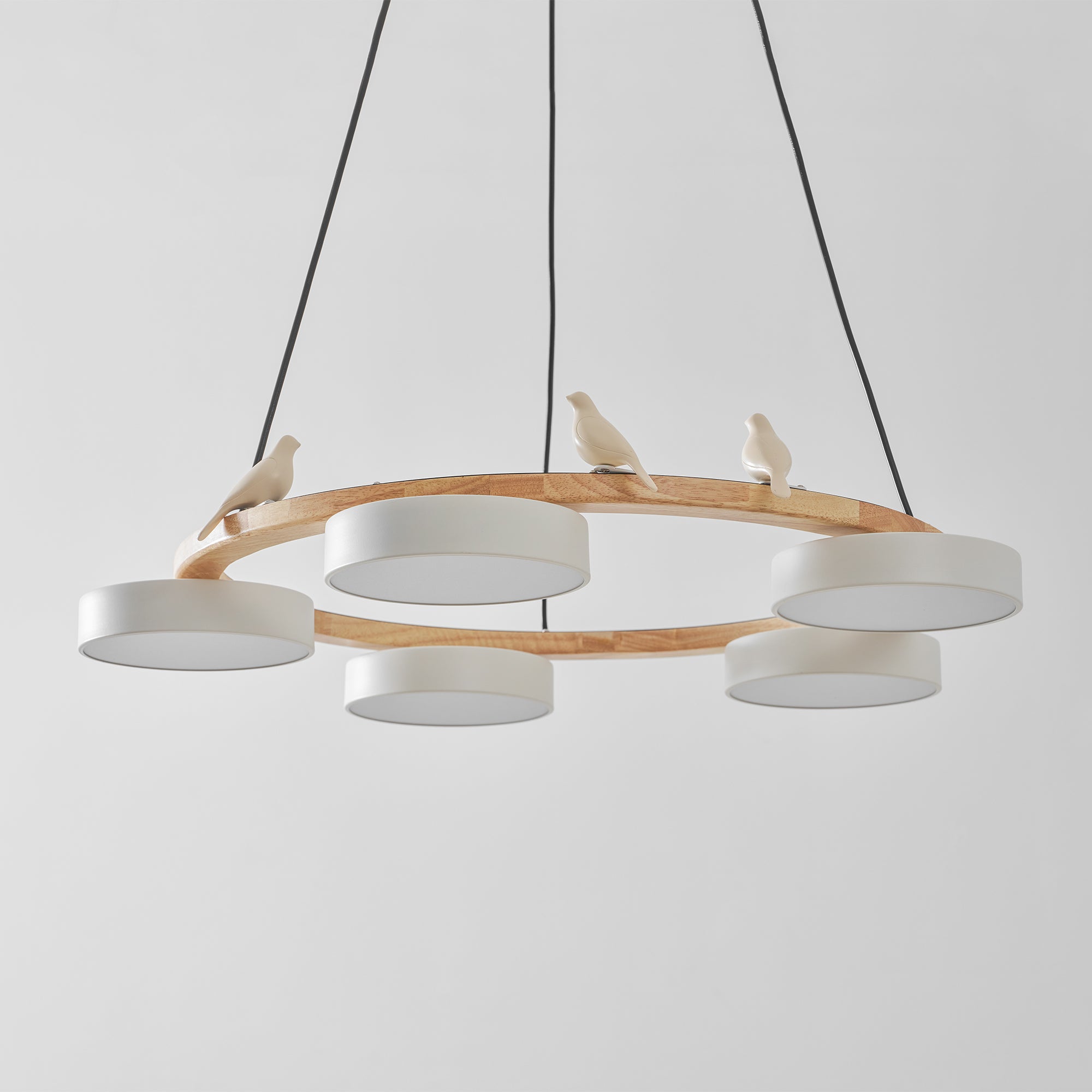 Paxar Round Pendant Light