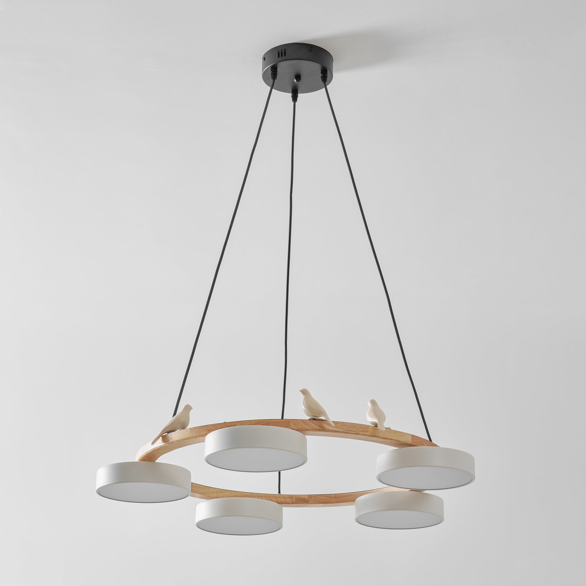 Paxar Round Pendant Light