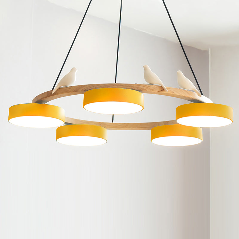 Paxar Round Pendant Light