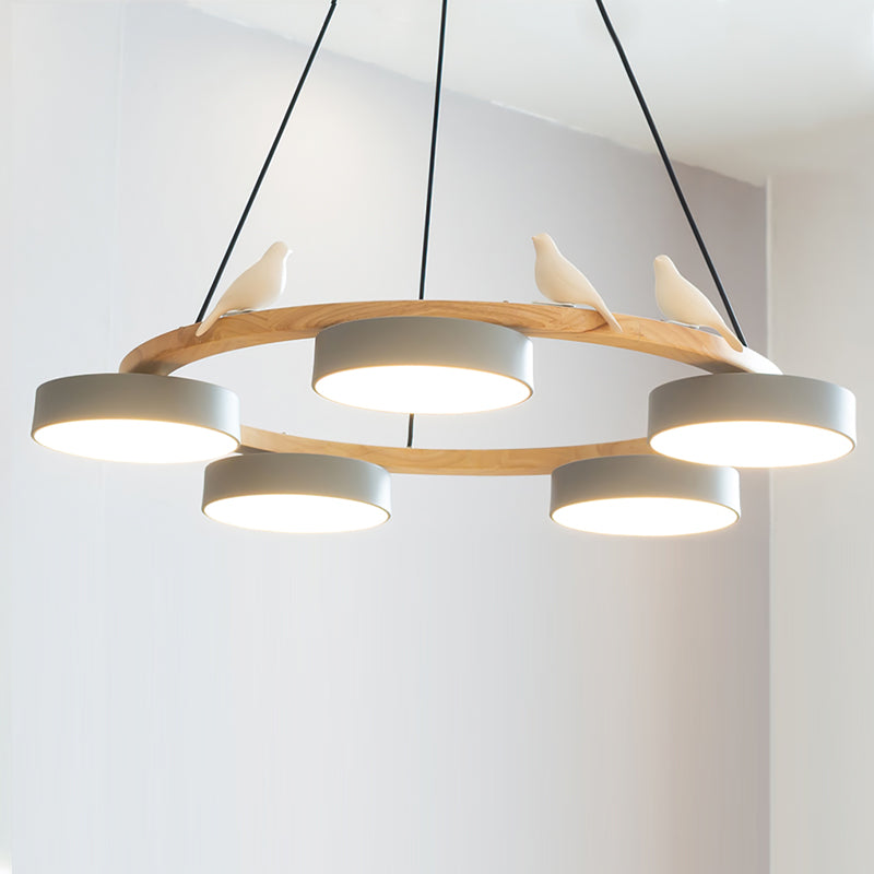 Paxar Round Pendant Light