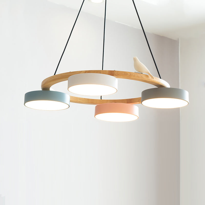 Paxar Round Pendant Light