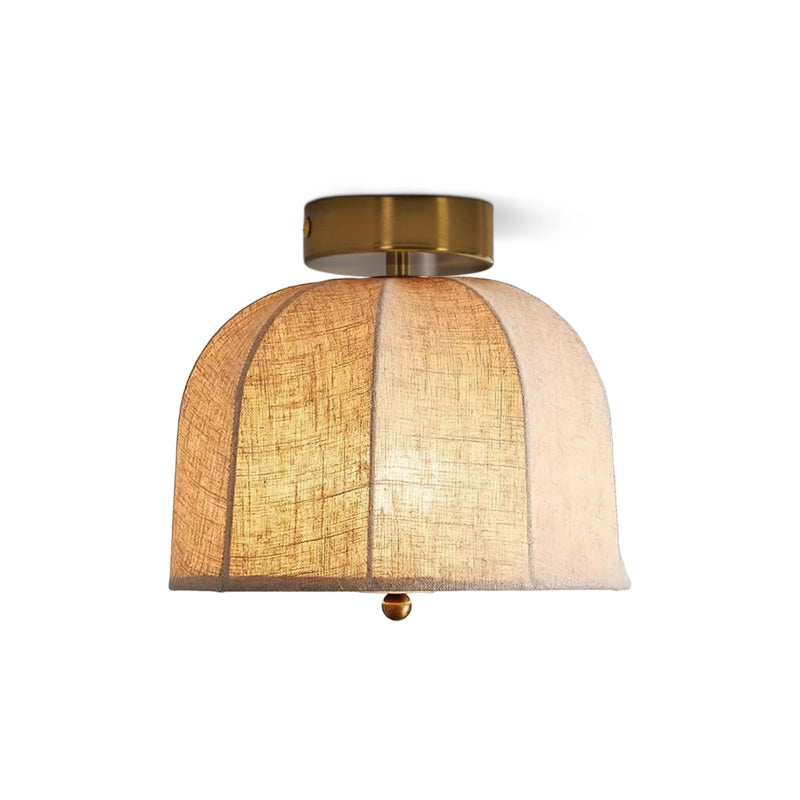 Paxvelar Ceiling Light