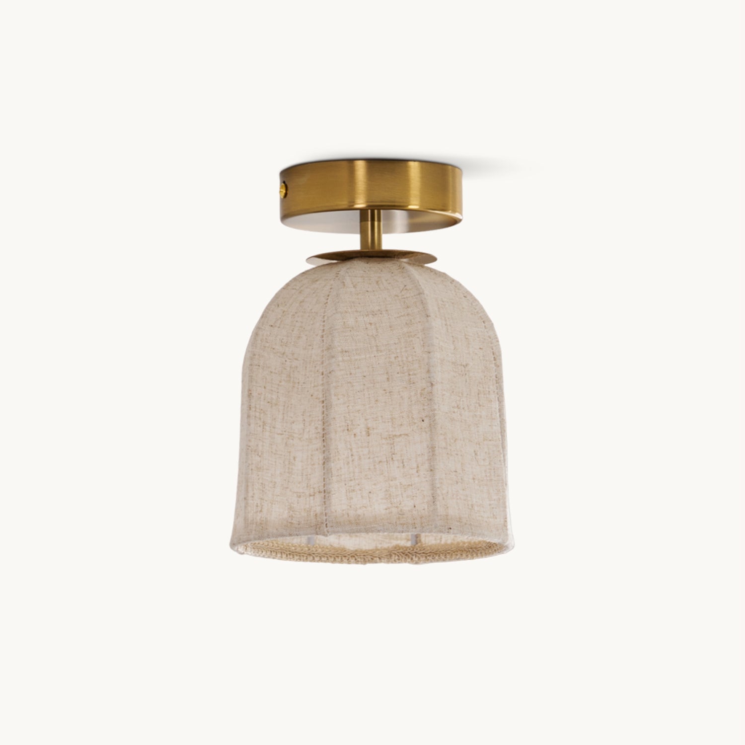 Paxvelar Ceiling Light