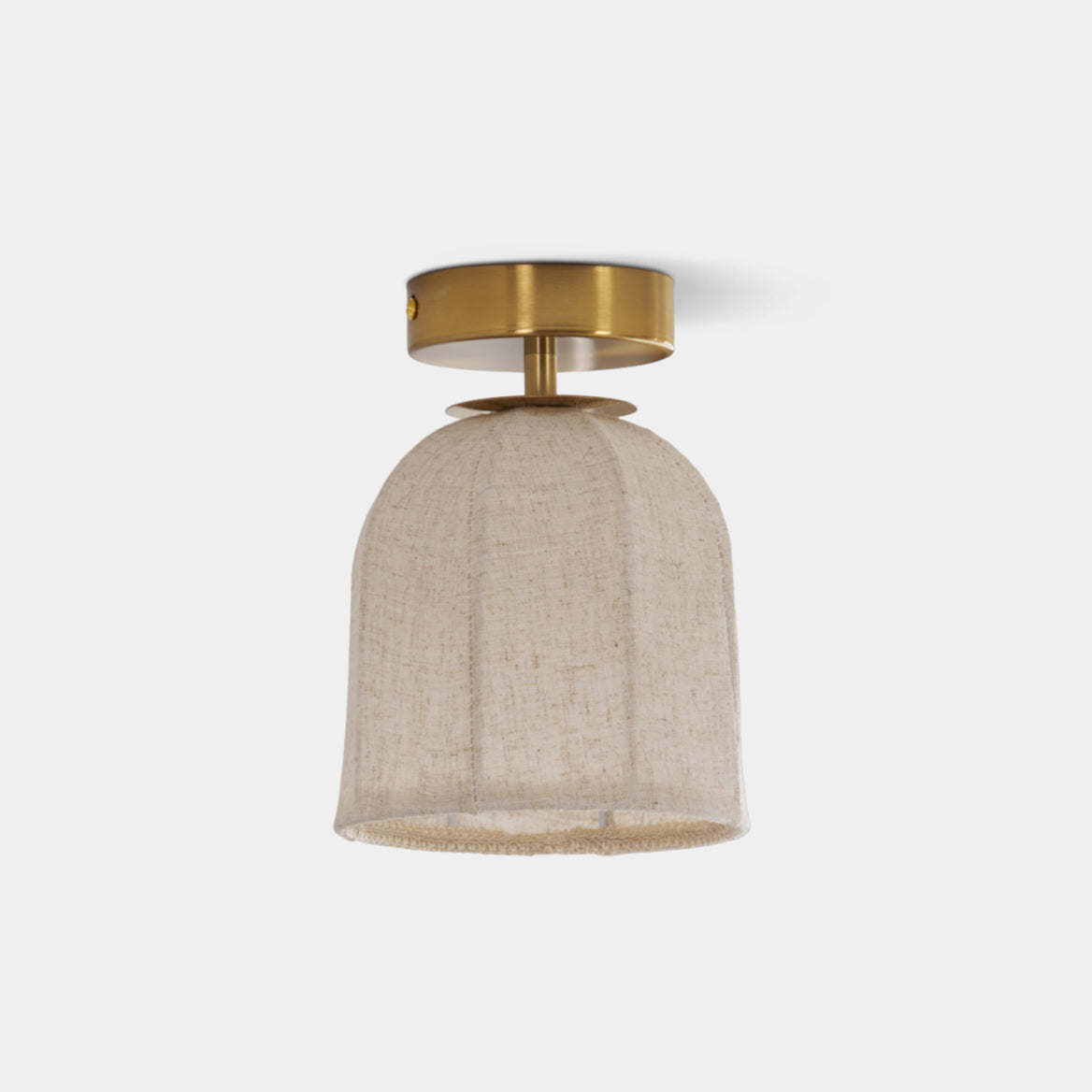 Paxvelar Ceiling Light
