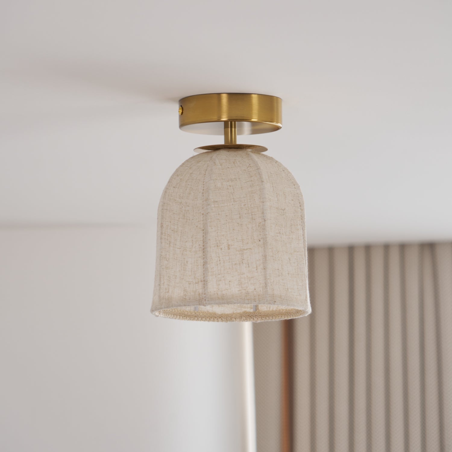 Paxvelar Ceiling Light