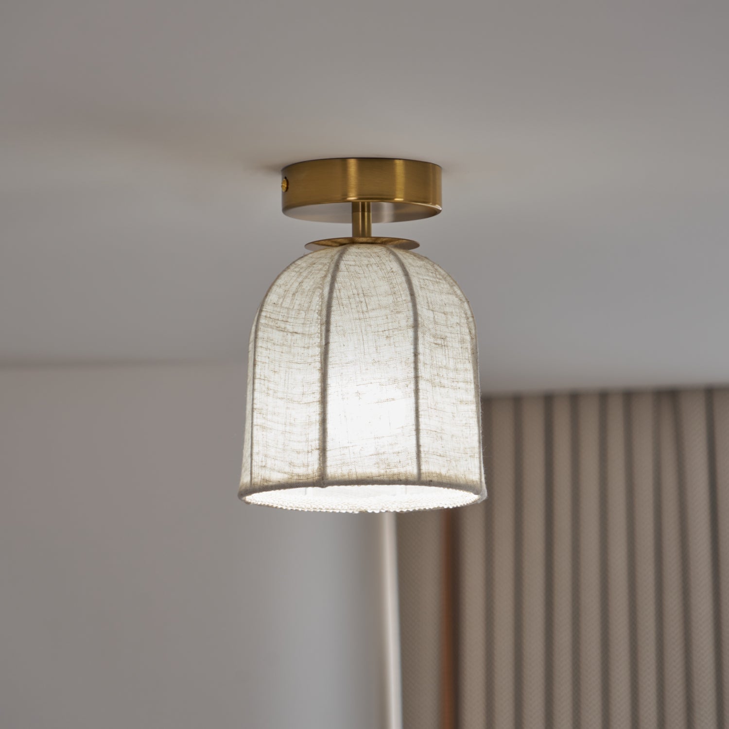 Paxvelar Ceiling Light