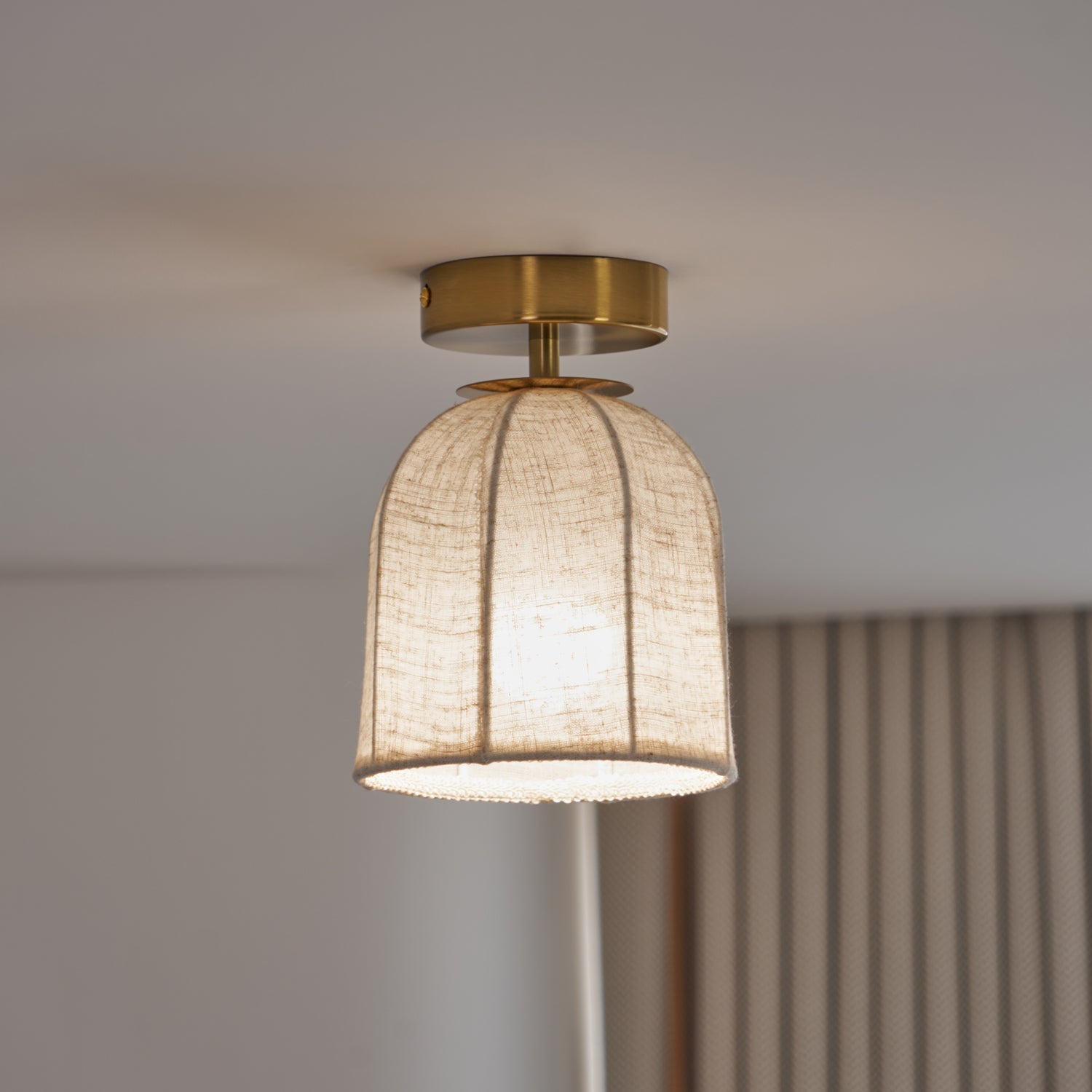 Paxvelar Ceiling Light