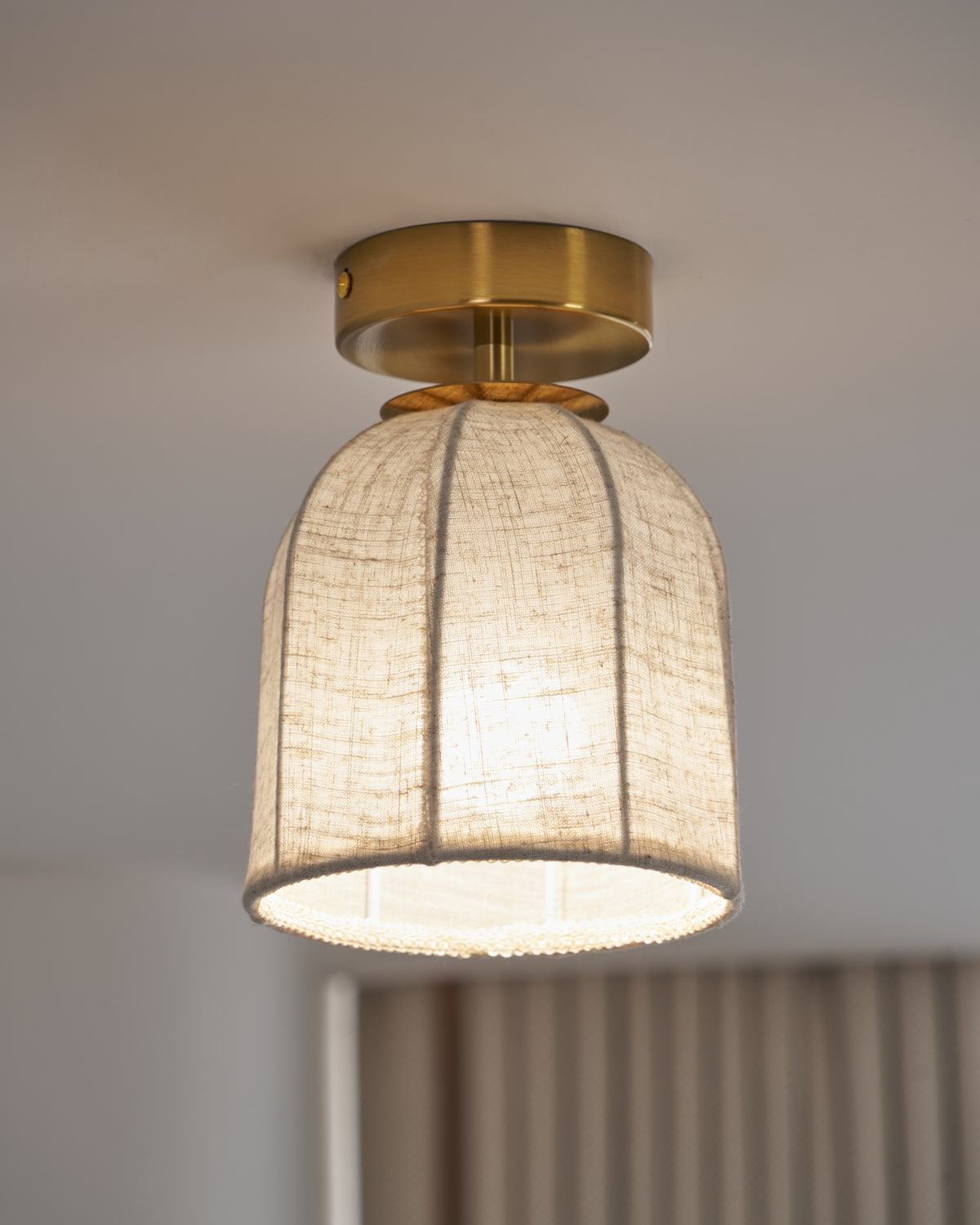 Paxvelar Ceiling Light