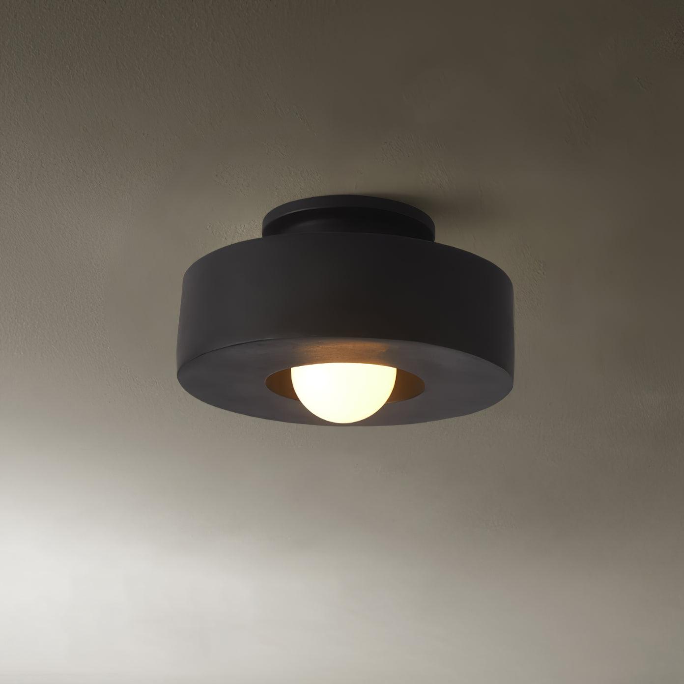Ivyo Ceiling Light