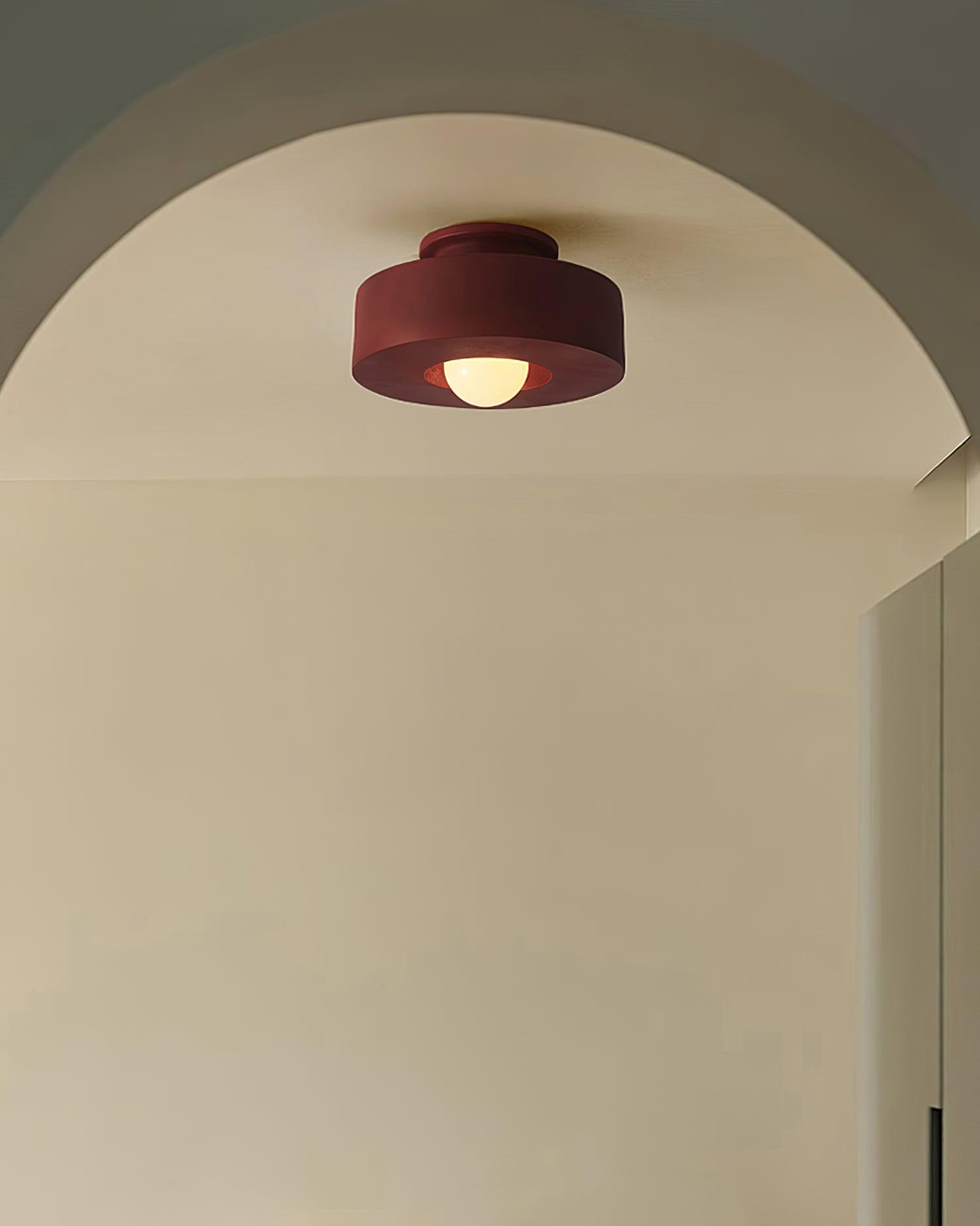 Ivyo Ceiling Light