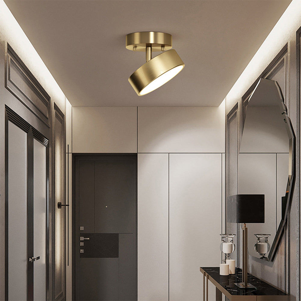 Niznaro Ceiling Light