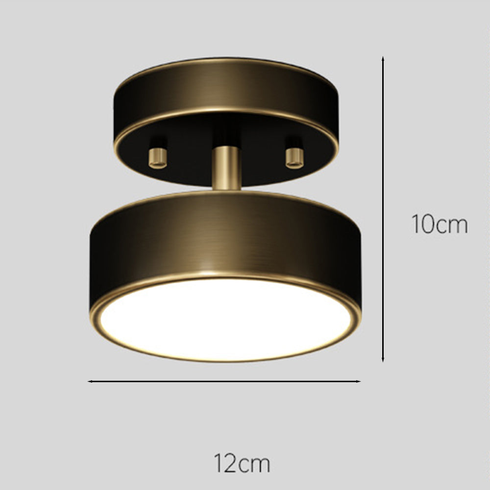Niznaro Ceiling Light
