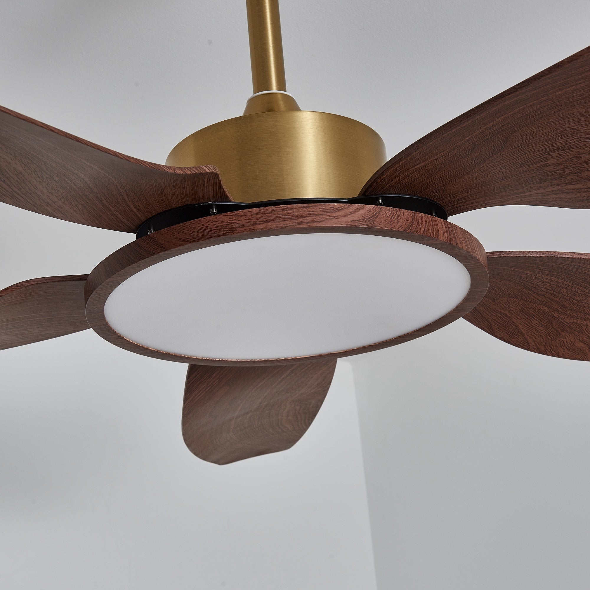 Sileno Ceiling Fan