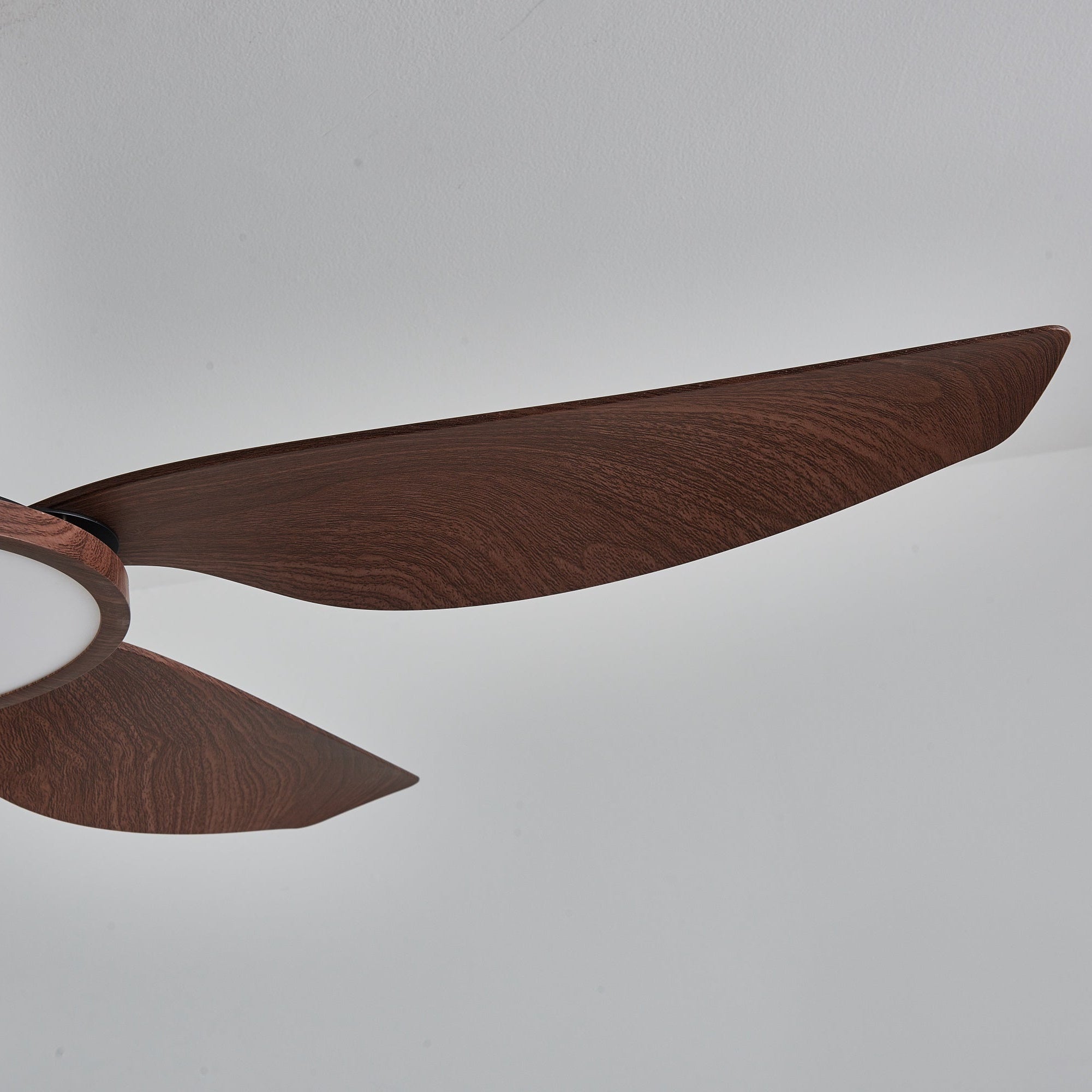 Sileno Ceiling Fan