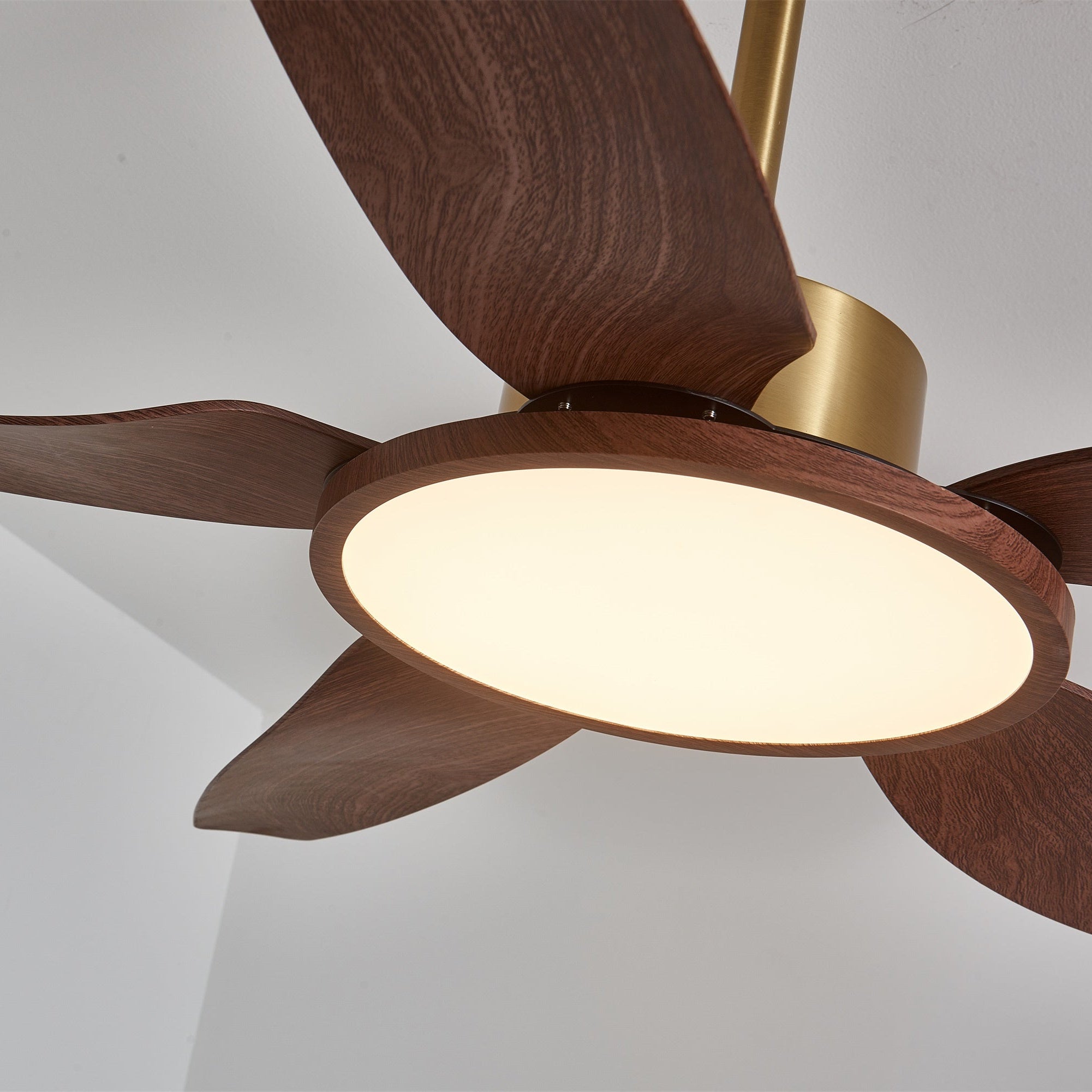 Sileno Ceiling Fan