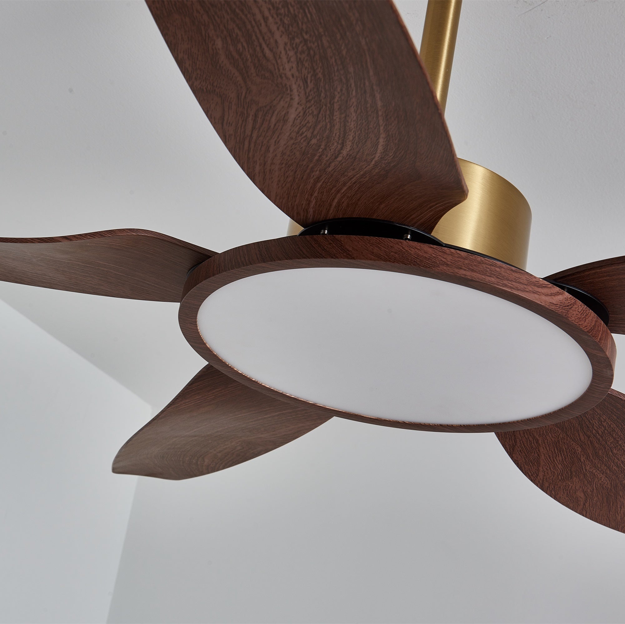 Sileno Ceiling Fan