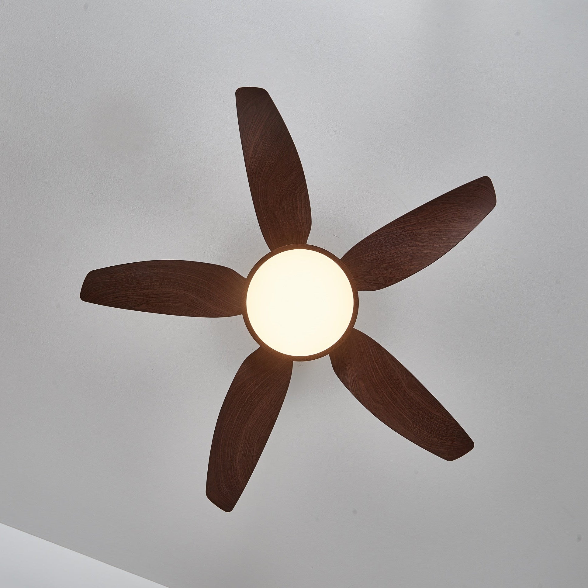 Sileno Ceiling Fan